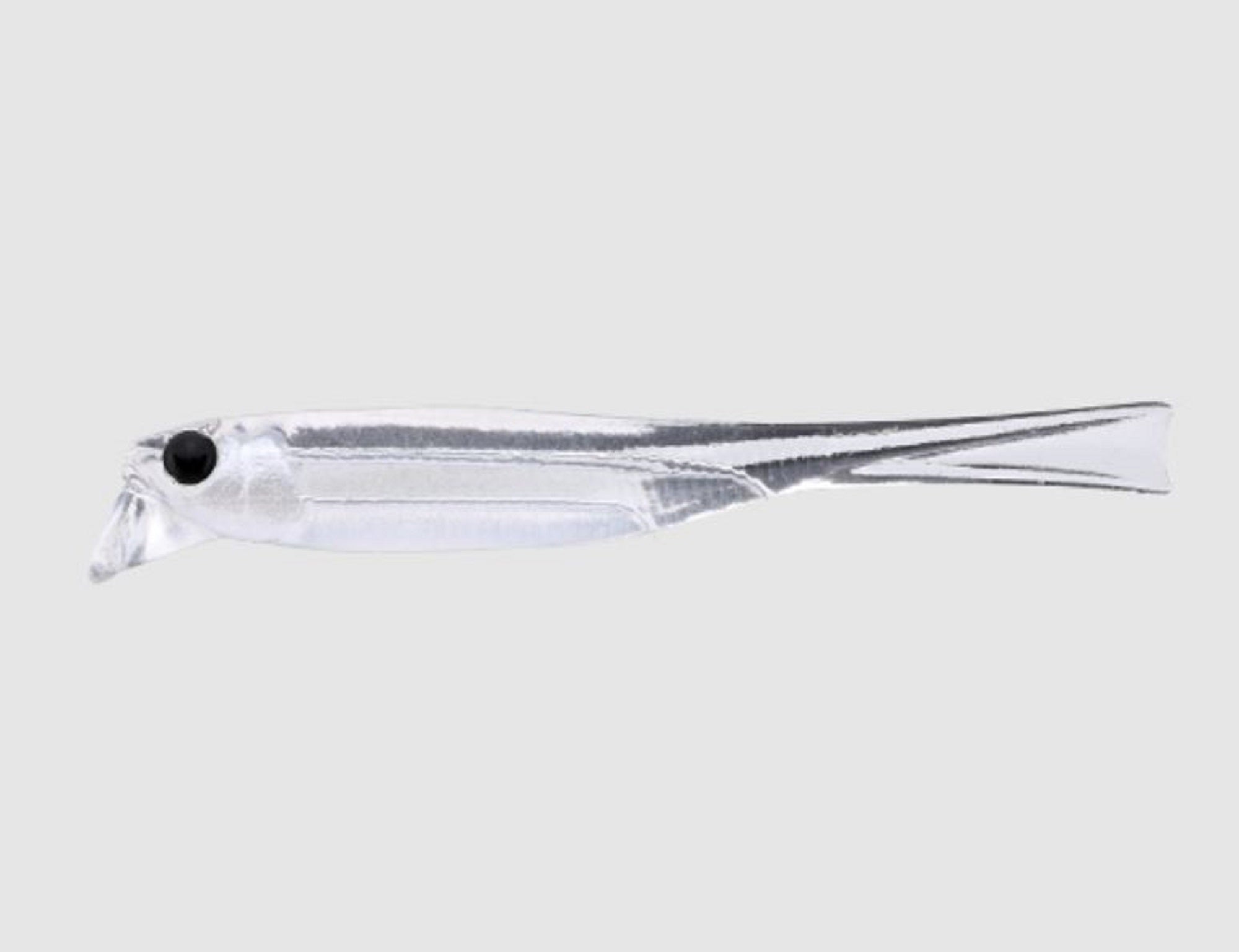 Jackall Soft Lure Drift Fry Elastomer 2.5 Inch Magic Pearl (8777)