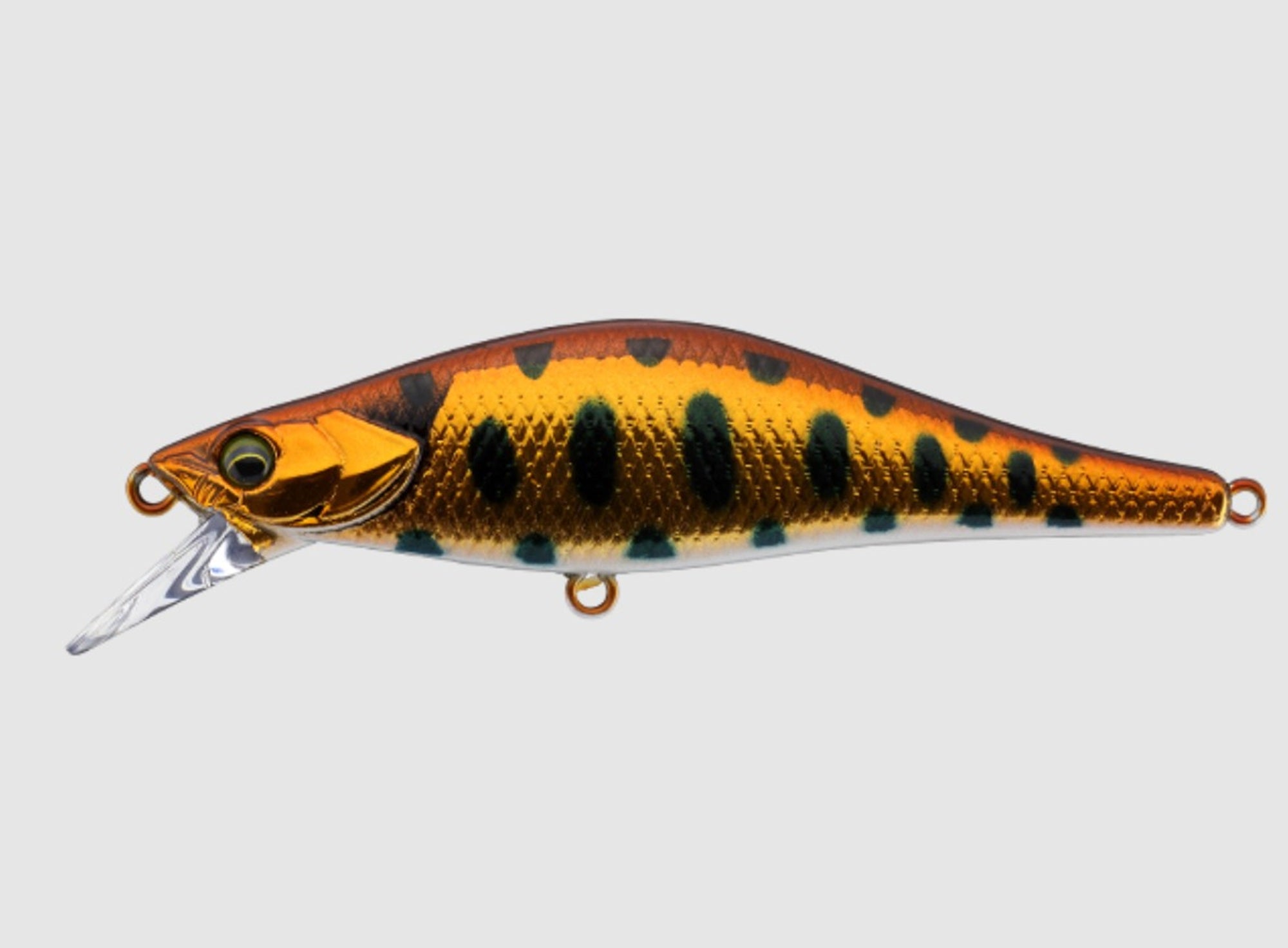 Jackall Timon Tricoroll Thin 44S Sinking Lure Hl Copper Yamame (8226)