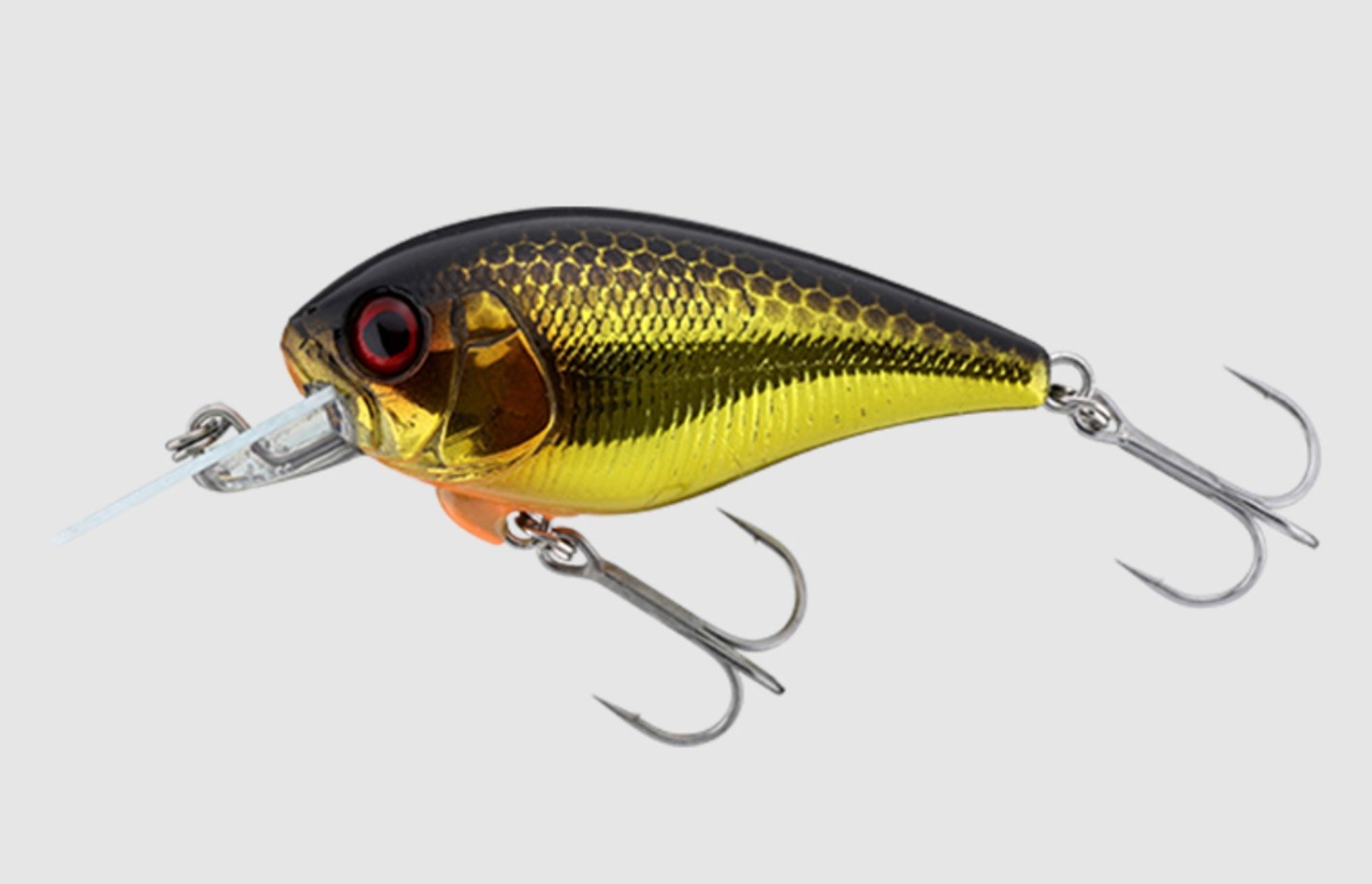 Jackall Master Crank 47SR Floating Lure HL Gold & Black (1189)
