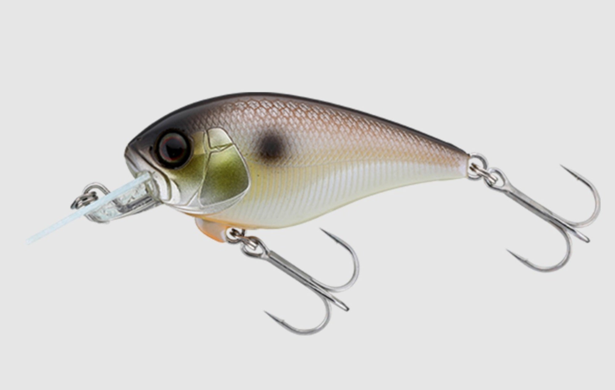 Jackall Master Crank 47SR Floating Lure Strike Pearl Shad (1219)