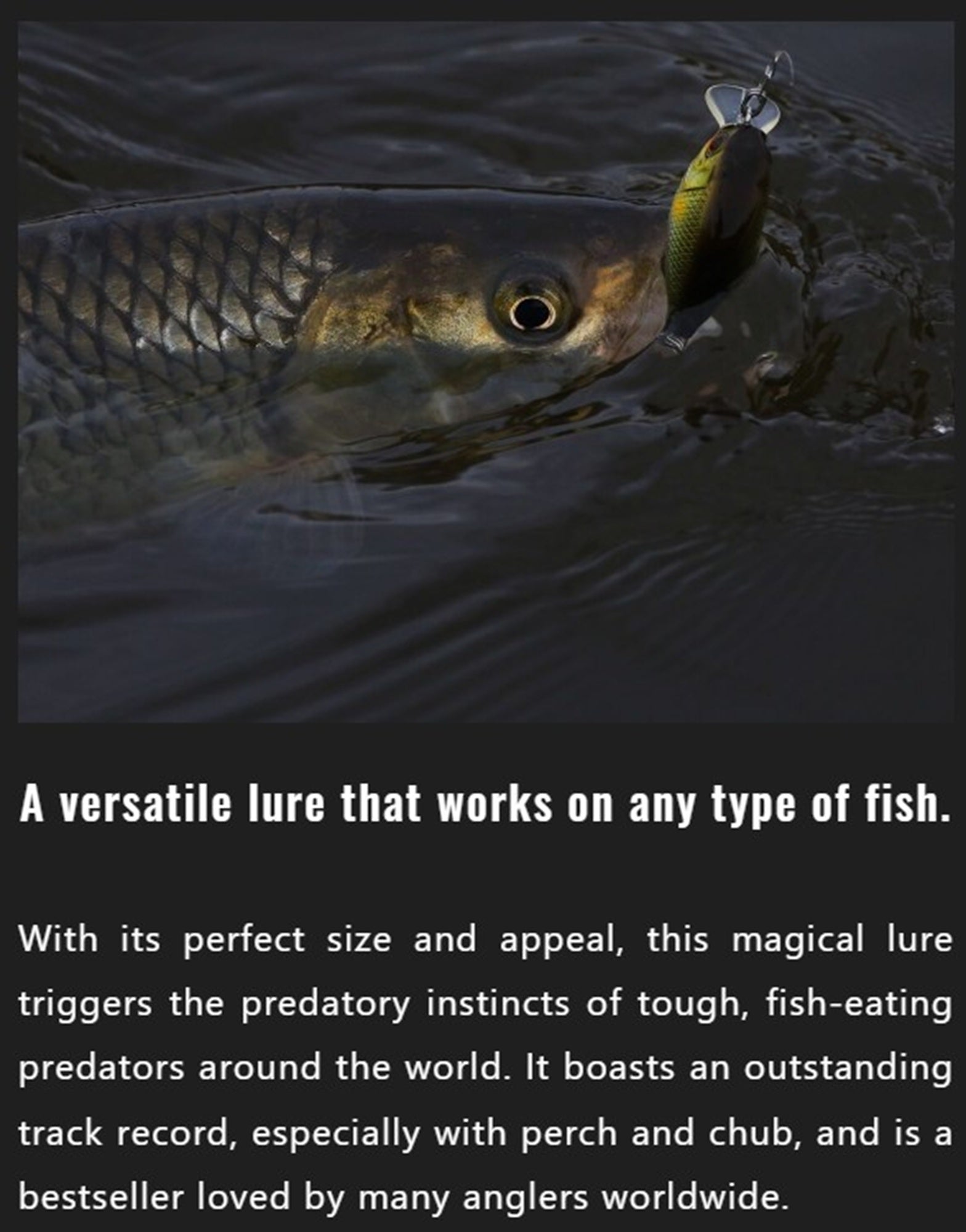 Jackall Chubby 38F MR Floating Lure HL G Perch (1912)