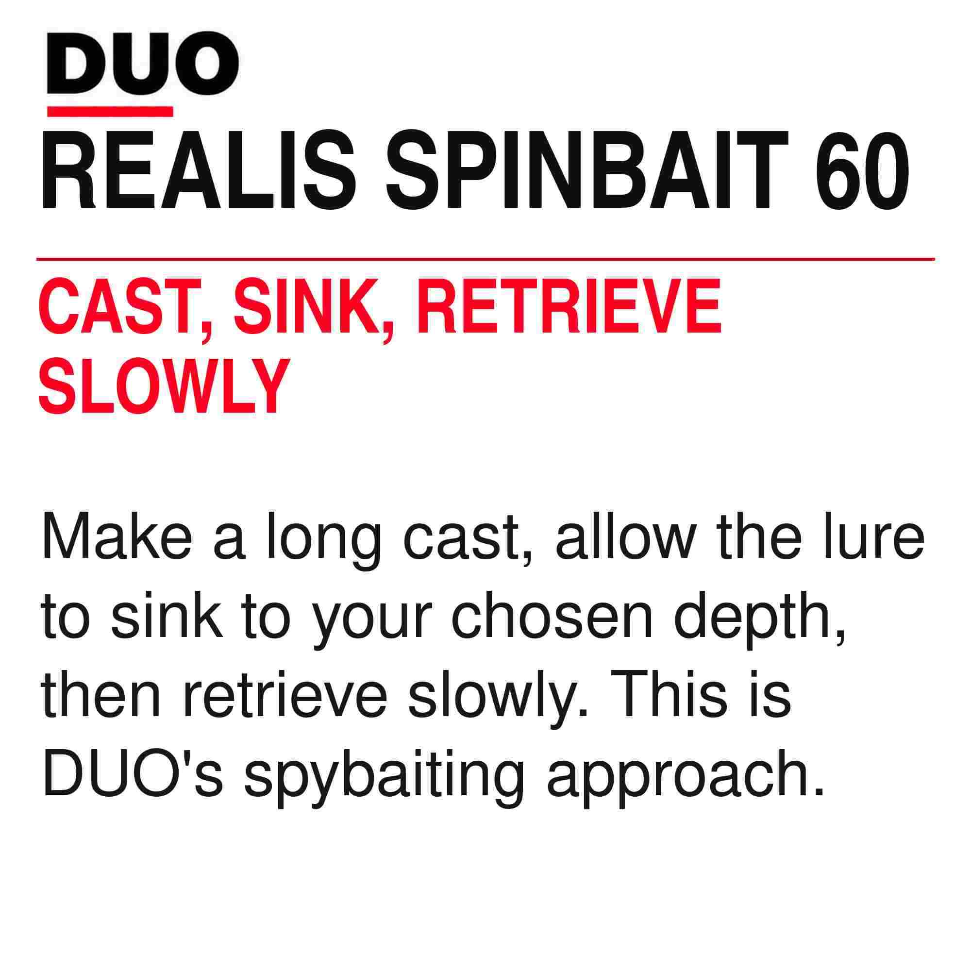 Duo Realis Spin Bait 60 spinbait spybait Sinking Lure DEA3023 (6447)