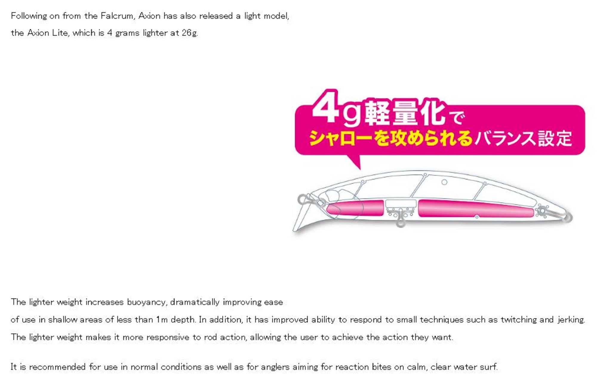 Duo Beach Walker 95S Axcion Light Sinking Lure CYA0636 (8445)