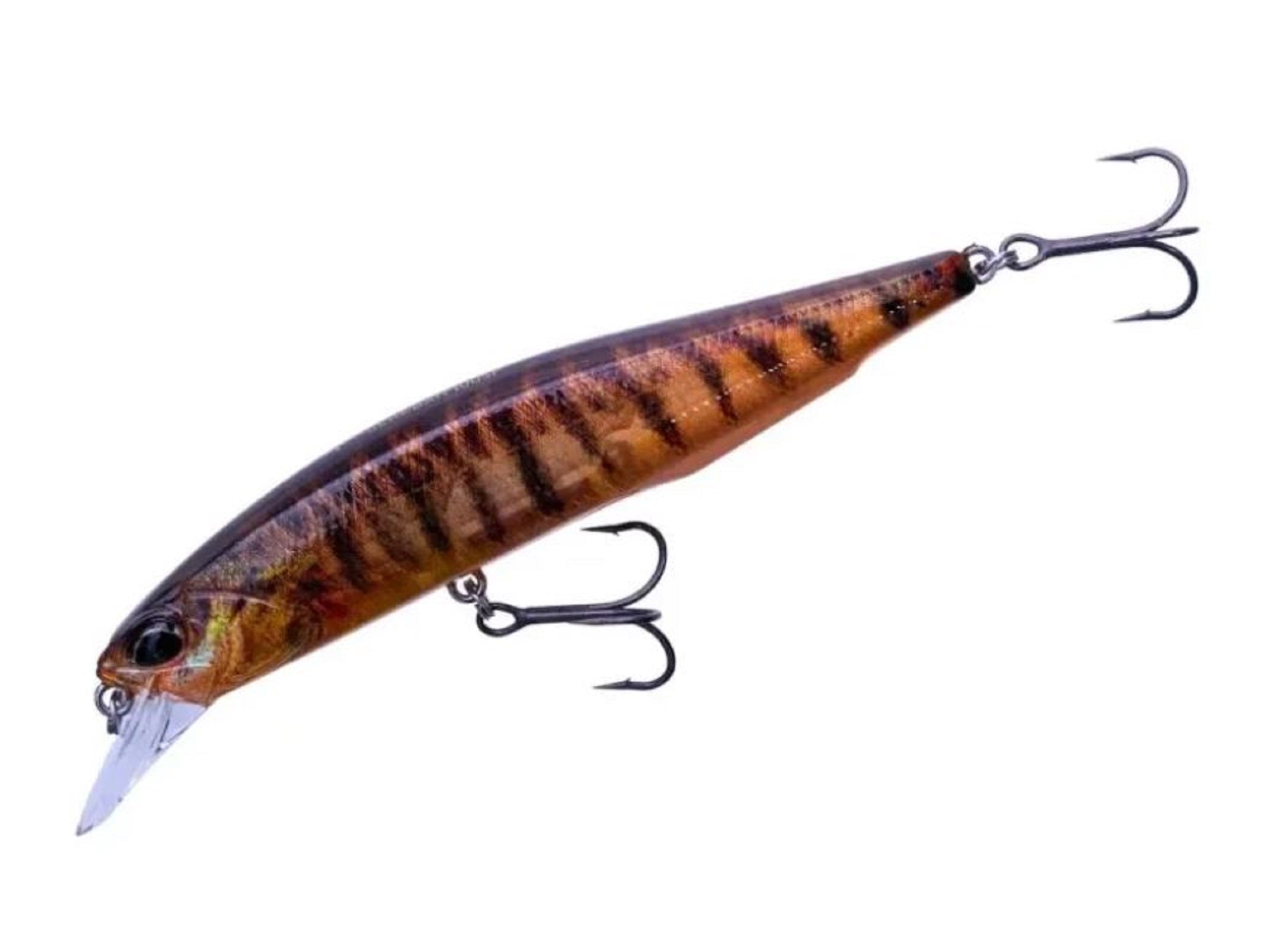 Duo Realis Jerkbait 100SP Suspend Lure CCC3396 (8592)