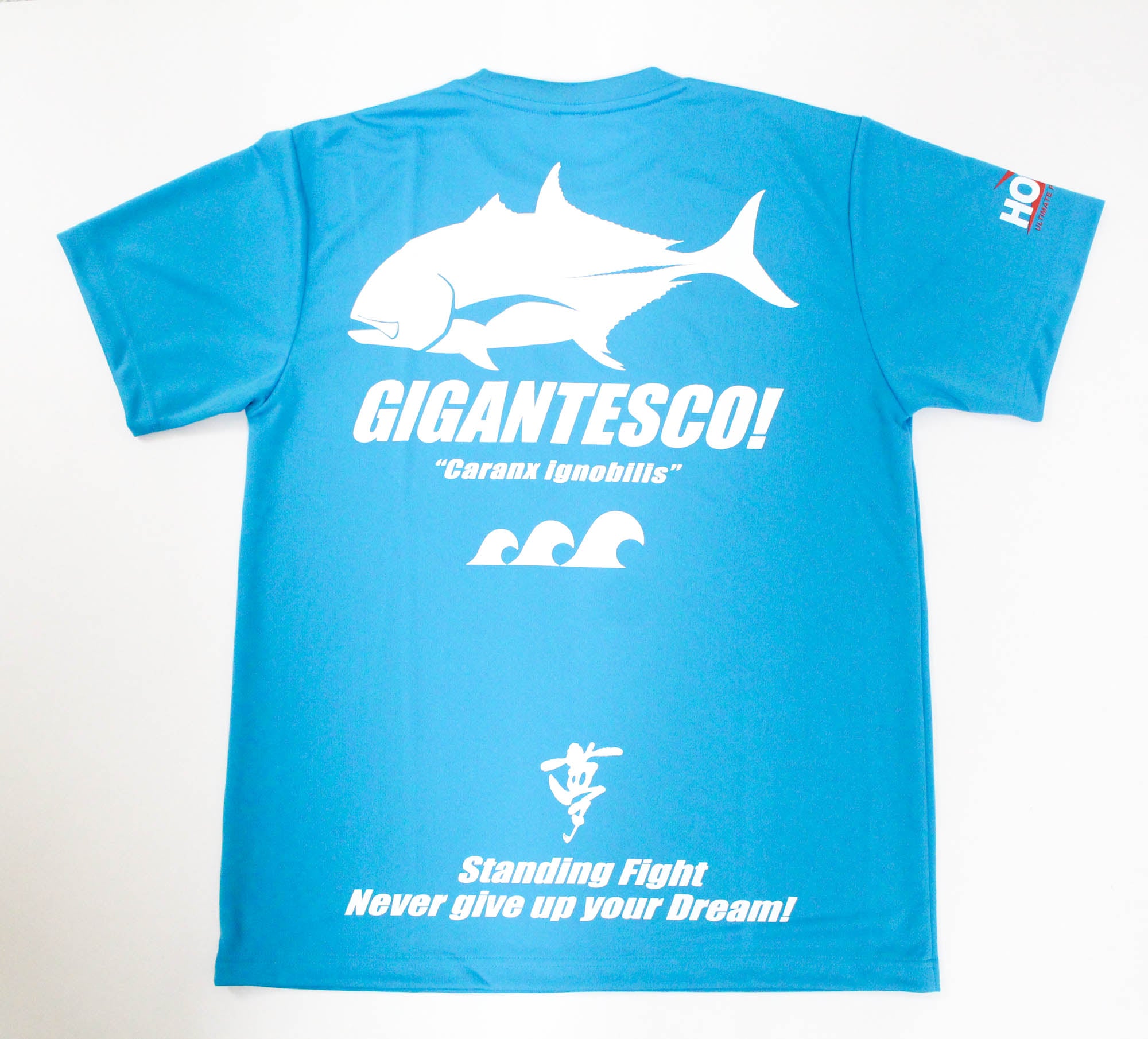 Hots T-Shirt Dry Fit Short Sleeve GT Size XL Light Blue (3398)