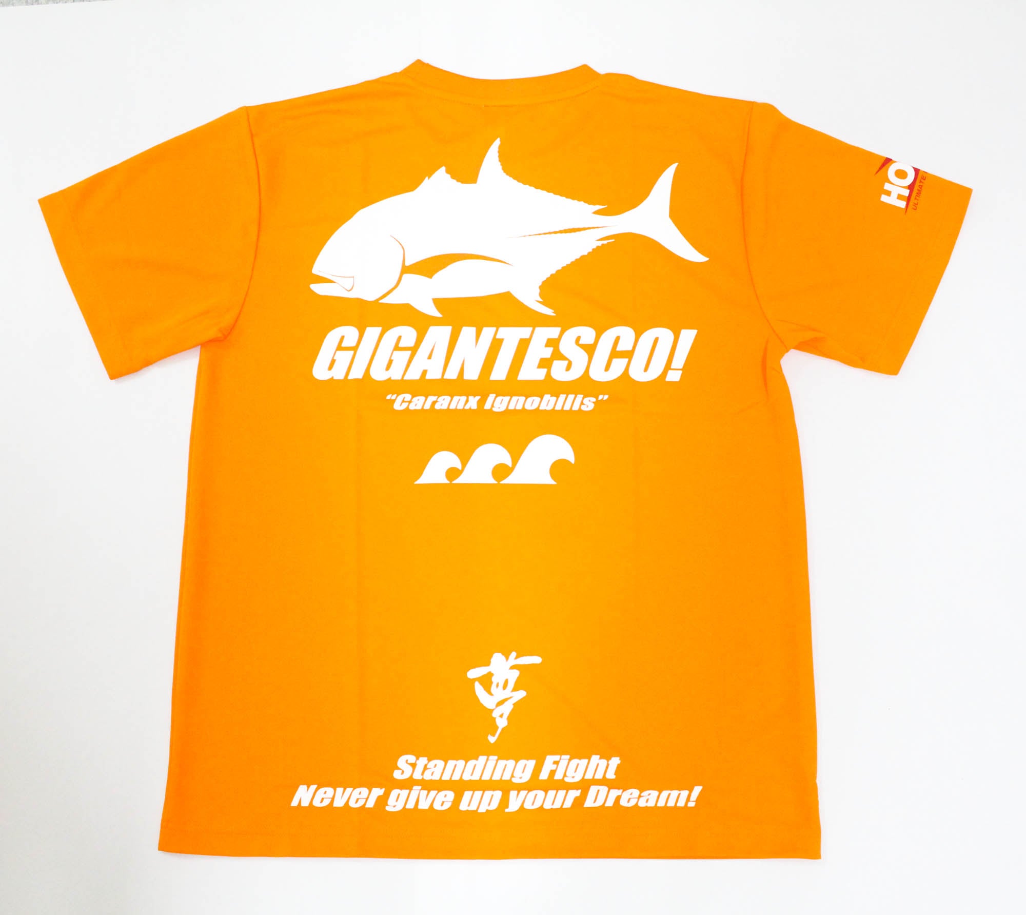 Hots T-Shirt Dry Fit Short Sleeve GT Size XL Orange (3428)