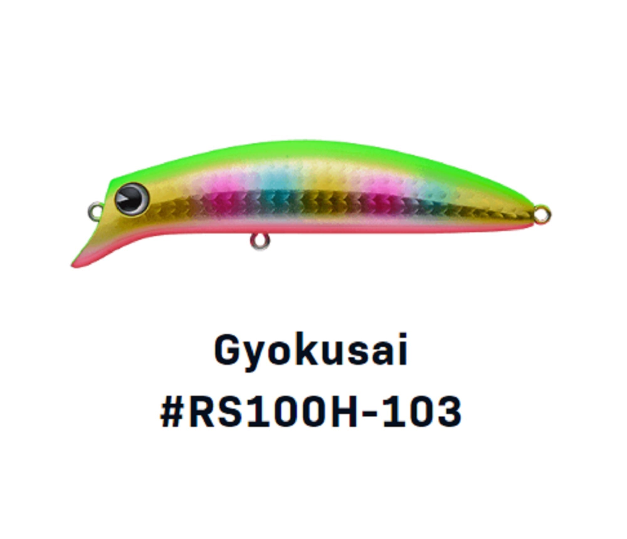Ima Sasuke 100HS Heavy Sinking Lure 103 (8588)