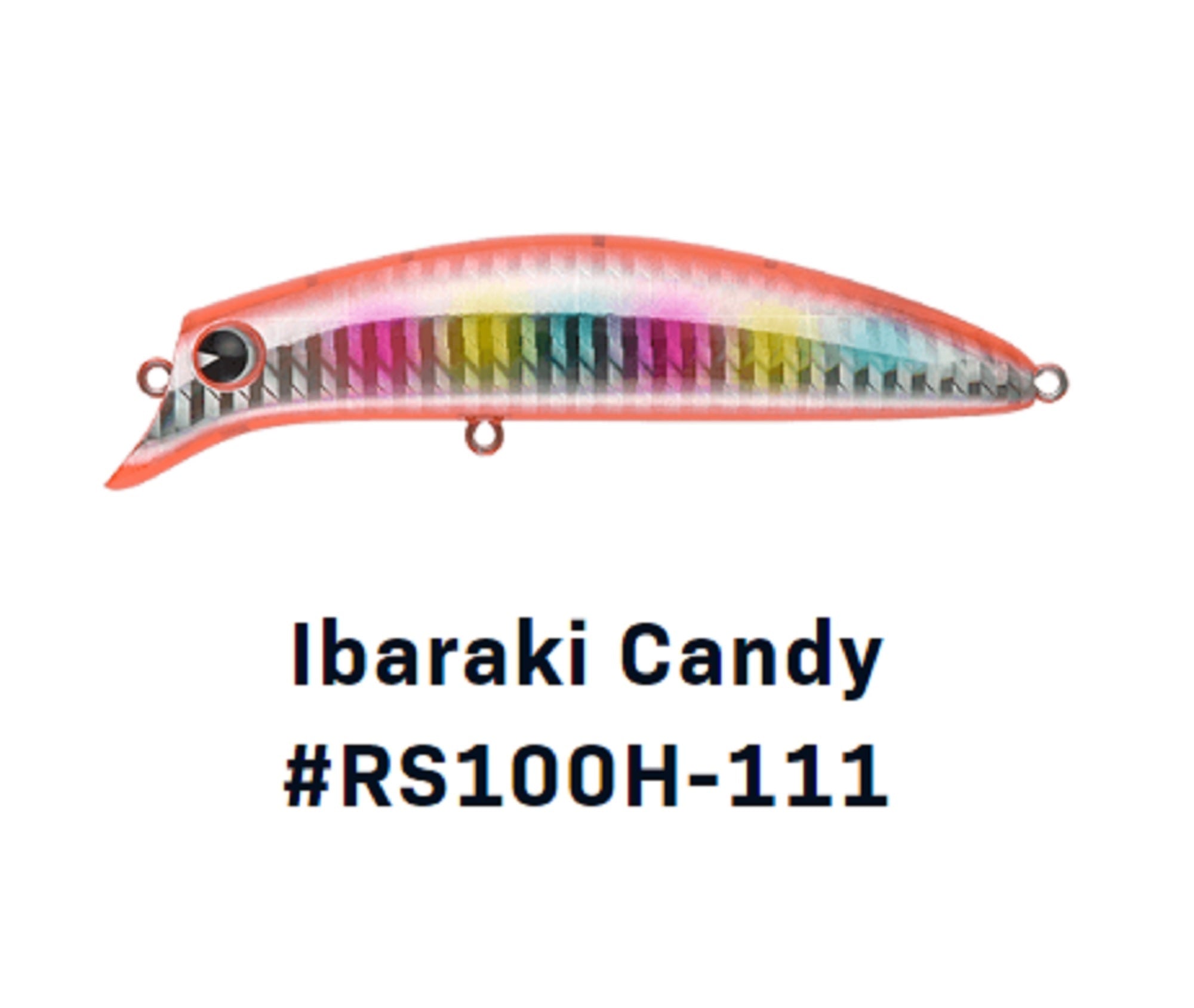 Ima Sasuke 100HS Heavy Sinking Lure 111 (8663)