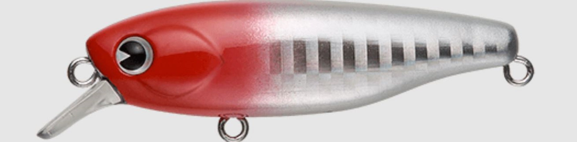 Ima K Ta 58 Shad Suspend Lure 001 (9338)