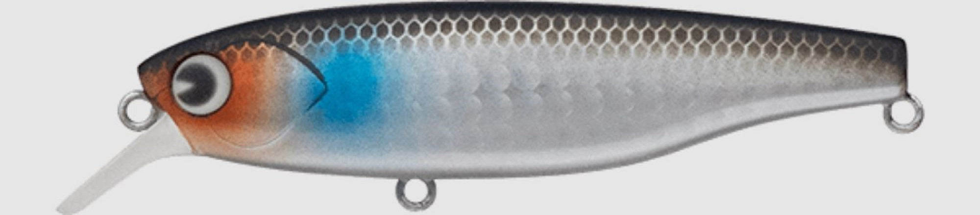 Ima K Ta 77 Shad Suspend Lure 018 (1568)