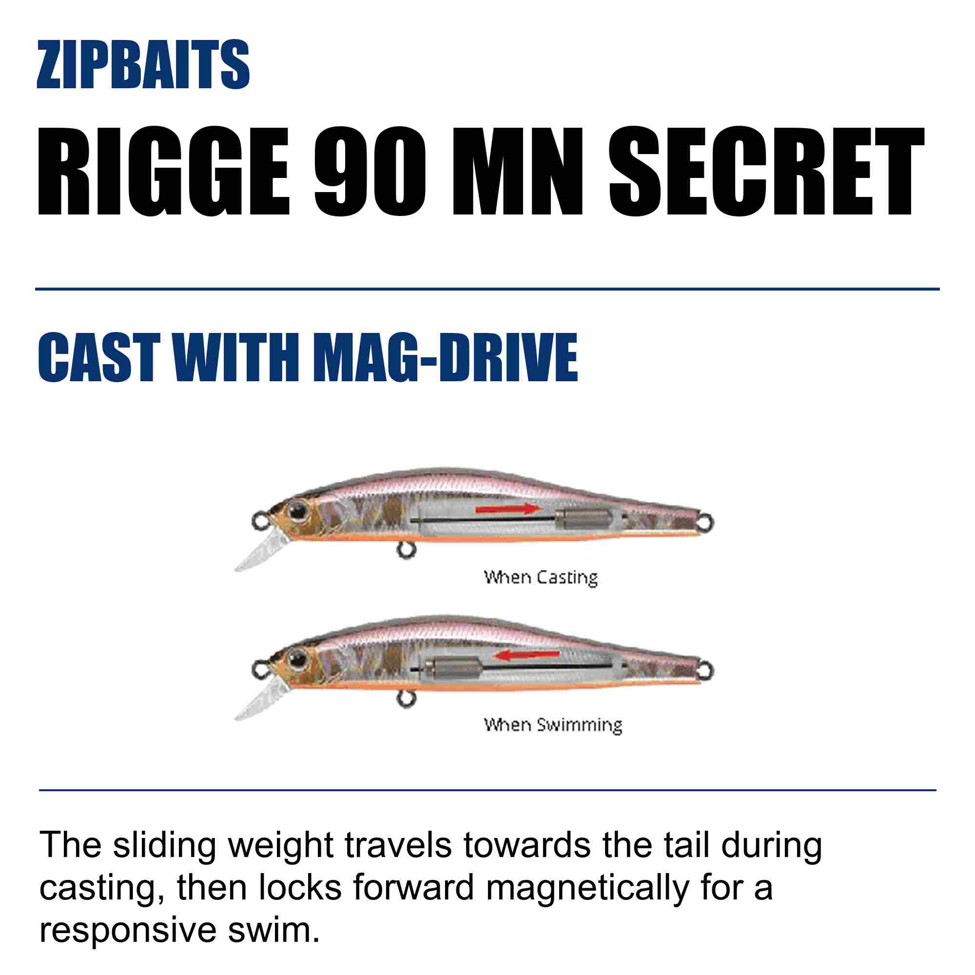 Zipbaits Rigge 90 MN Secret Slow Sinking Lure 703 (3063)