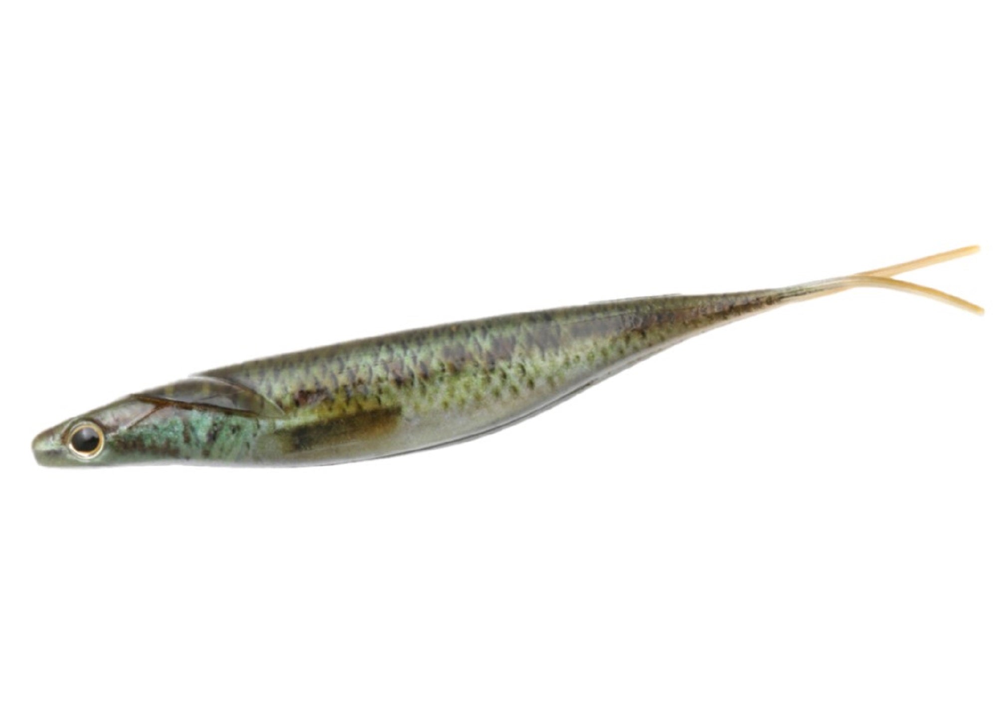 Deps Soft Lure Sakamata Shad Real 7 Inch 02 (9224)