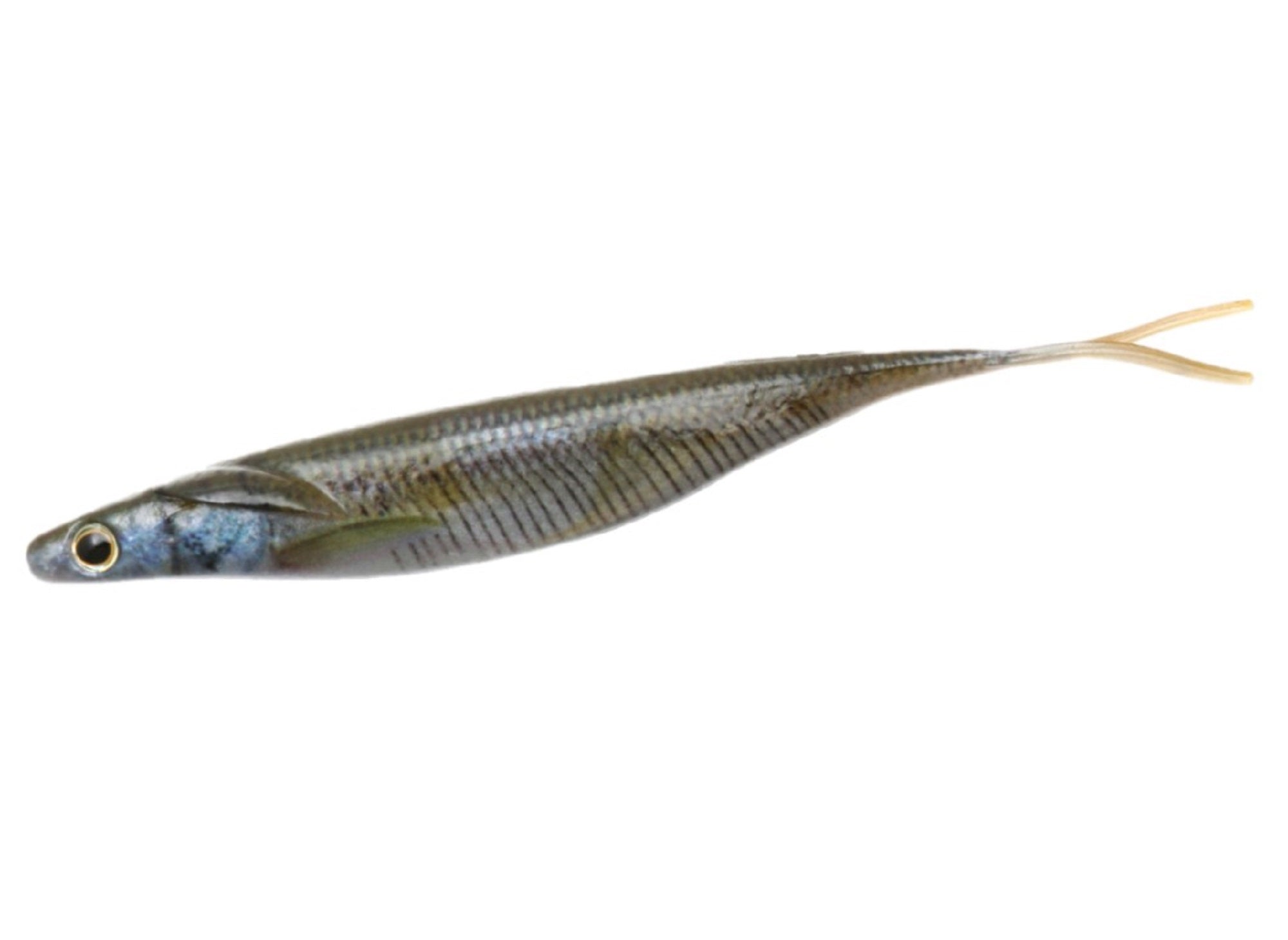 Deps Soft Lure Sakamata Shad Real 7 Inch 03 (9231)