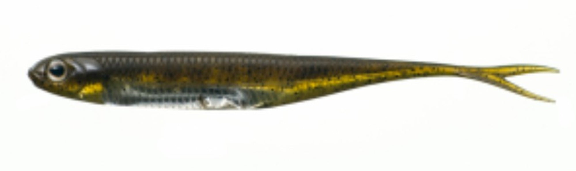 Fish Arrow Soft Lure Flash J Split 3 Inch 7 Piece per pack #01 (3677)