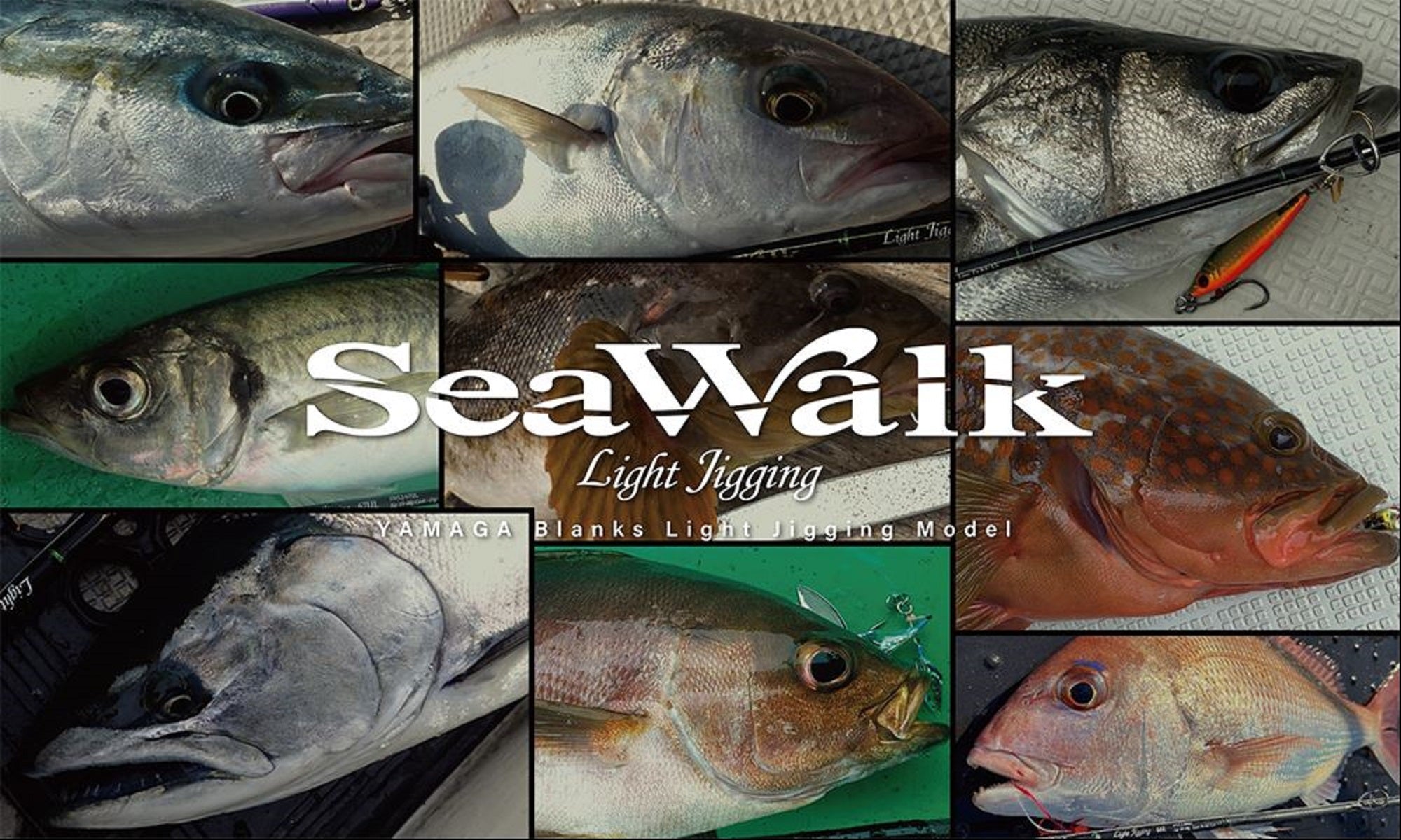 Yamaga Rod Baitcast Sea Walk Light Jigging B65M (0777)