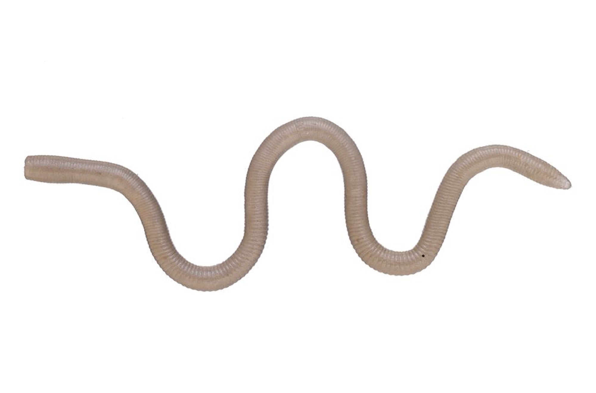 OSP Soft Lure MMZ Medium W0-75 (2044)