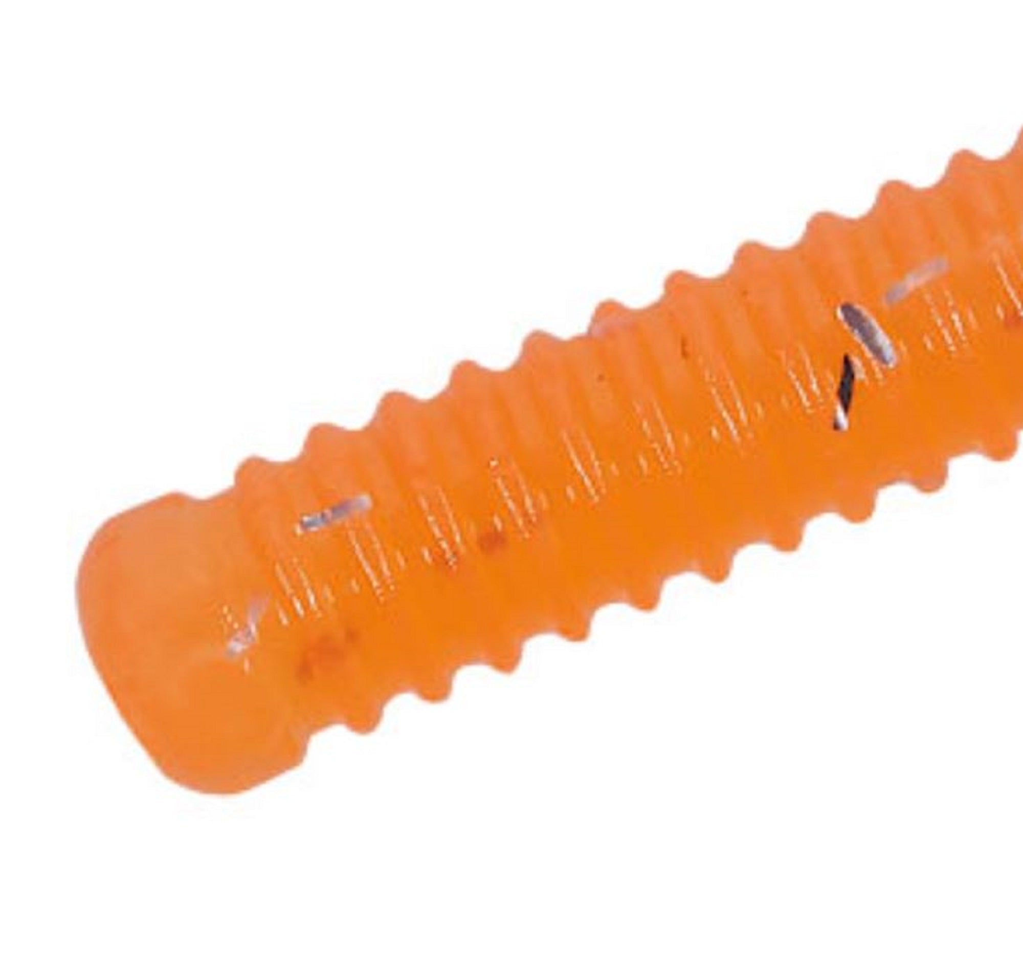Sale Major Craft Soft Plastic Lure Paraworm 2.5 Inch PW-AJI PIN 064 (2838)