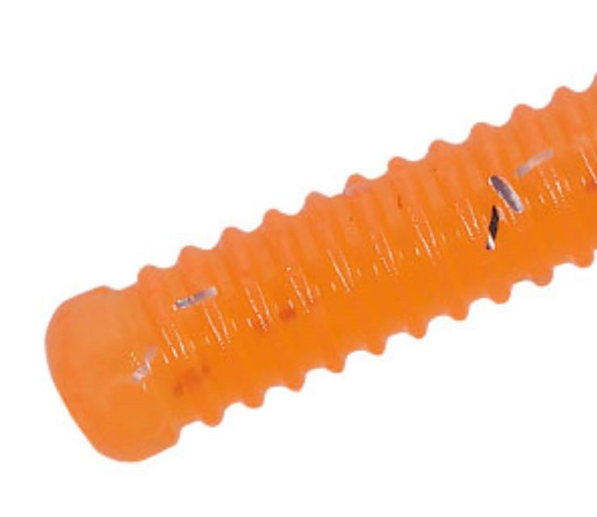 Sale Major Craft Soft Plastic Lure Paraworm 2.3 Inch PW-AJI FLAT 064 (3323)