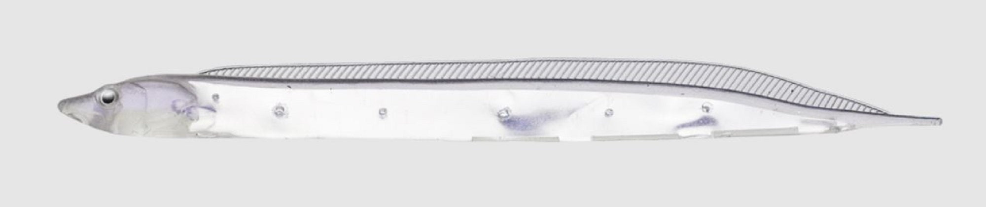 Fish Arrow Soft Lure Flash J Shirasu SW 3 Inch 5 Piece per pack #146 (3623)