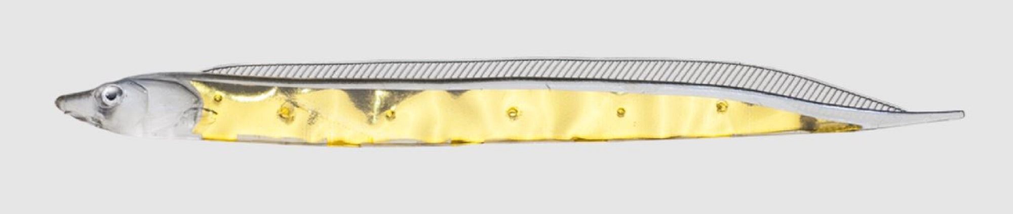 Fish Arrow Soft Lure Flash J Shirasu SW 3 Inch 5 Piece per pack #148 (3647)