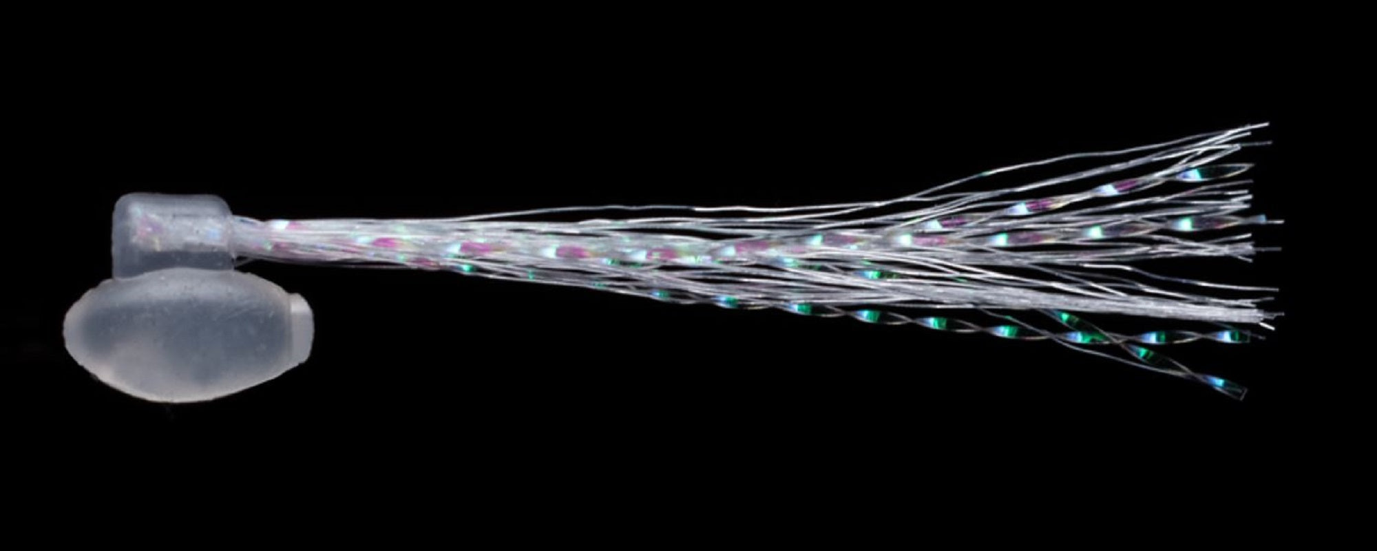 Fish Arrow Soft Lure Flash Dama k 2 Inch 8 Piece per pack #01 (5054)