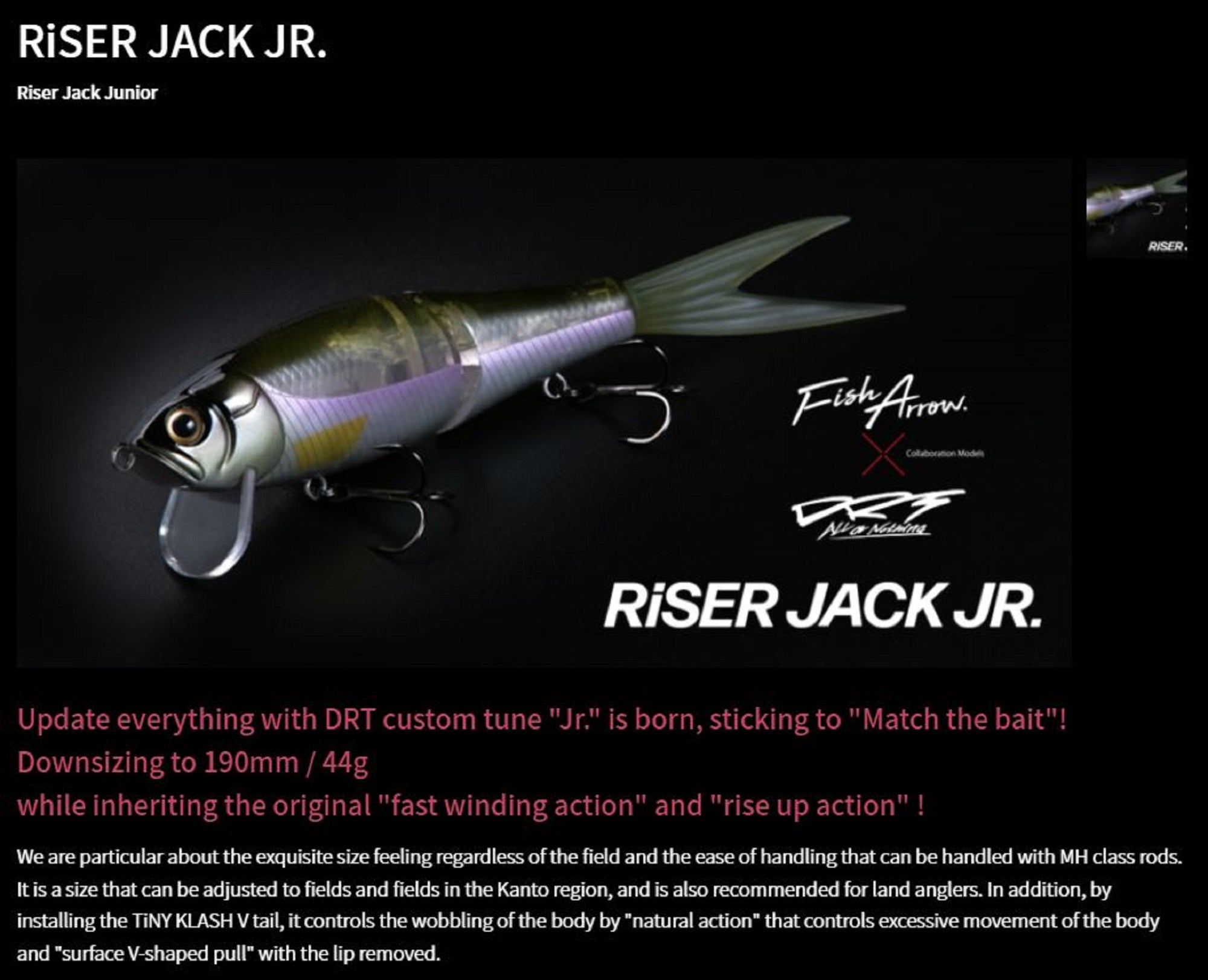 Fish Arrow DRT Monster Riser Jack JR 190mm 44grams Floating Lure 05 (6020)