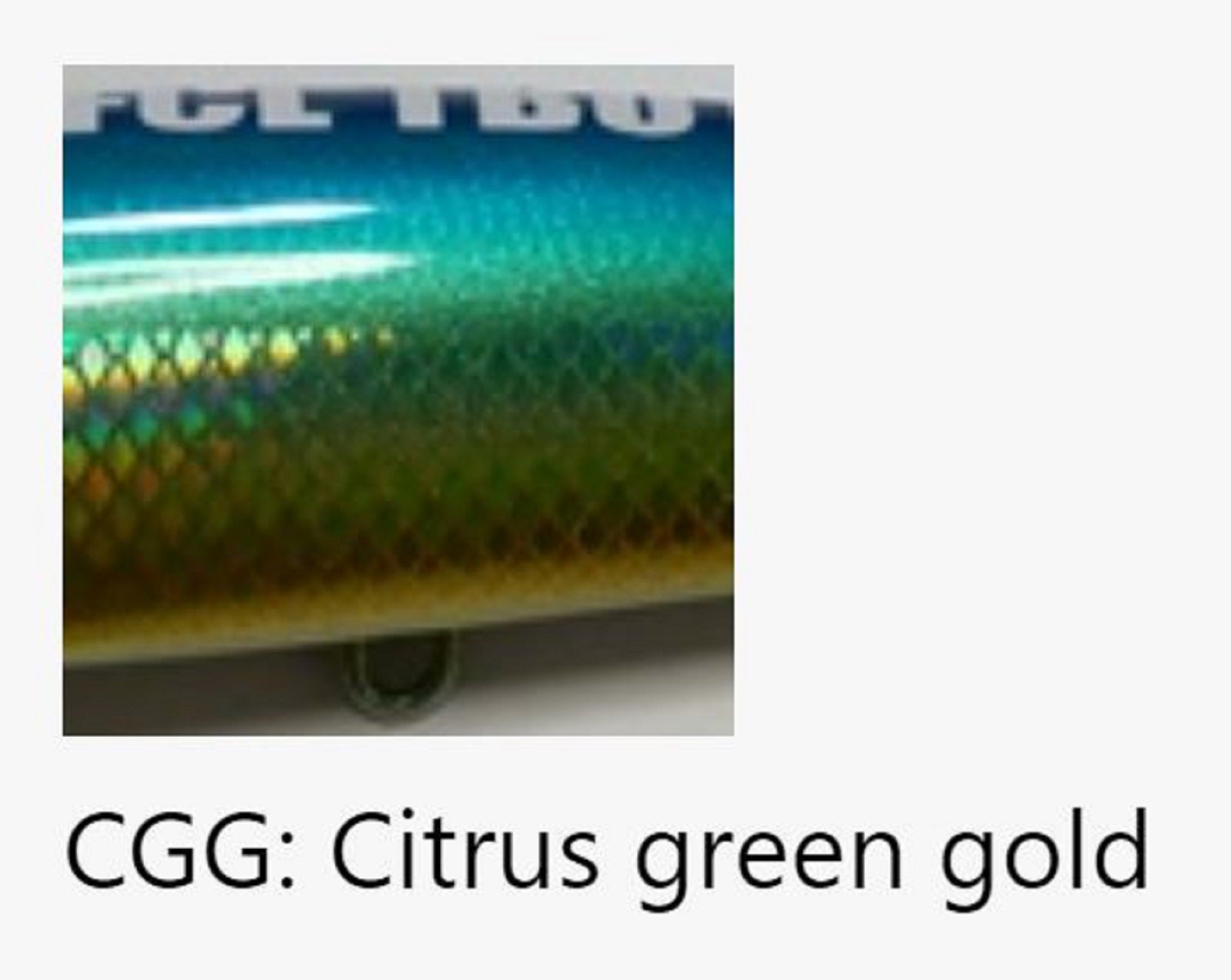 FCL Labo TBO 155 Floating Lure 155mm 46 grams CGG (4779)