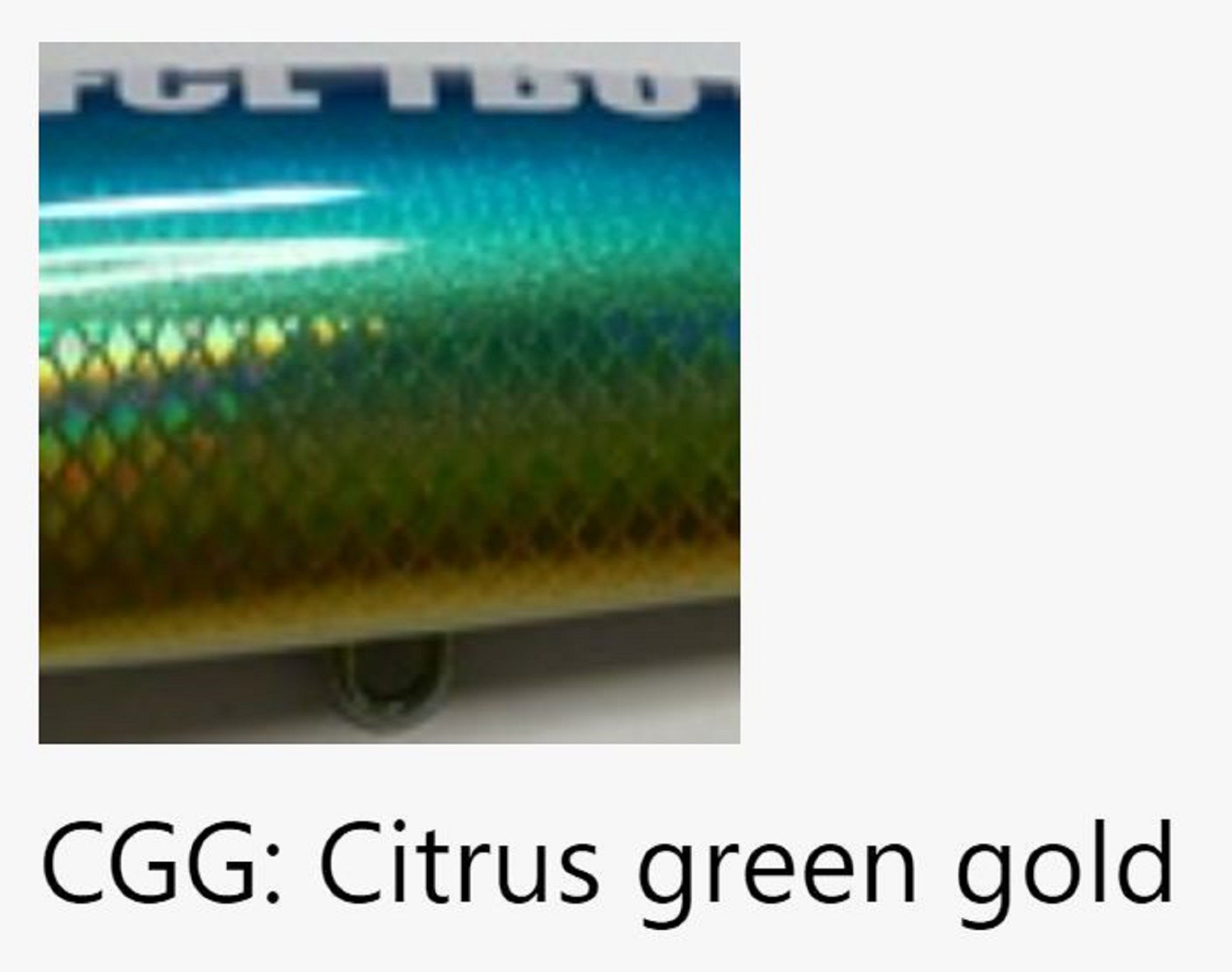 FCL Labo TBO 180 Floating Lure 180mm 71 grams CGG (4816)