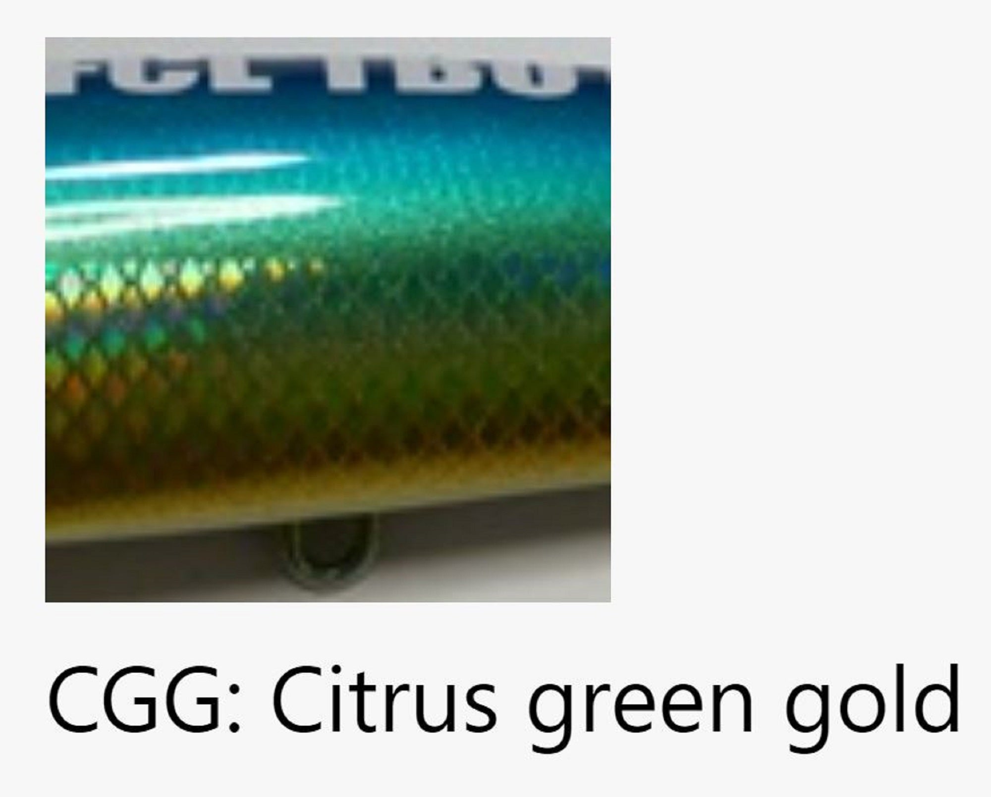 FCL Labo TBO 220 Floating Lure 224mm 128 grams CGG (4847)
