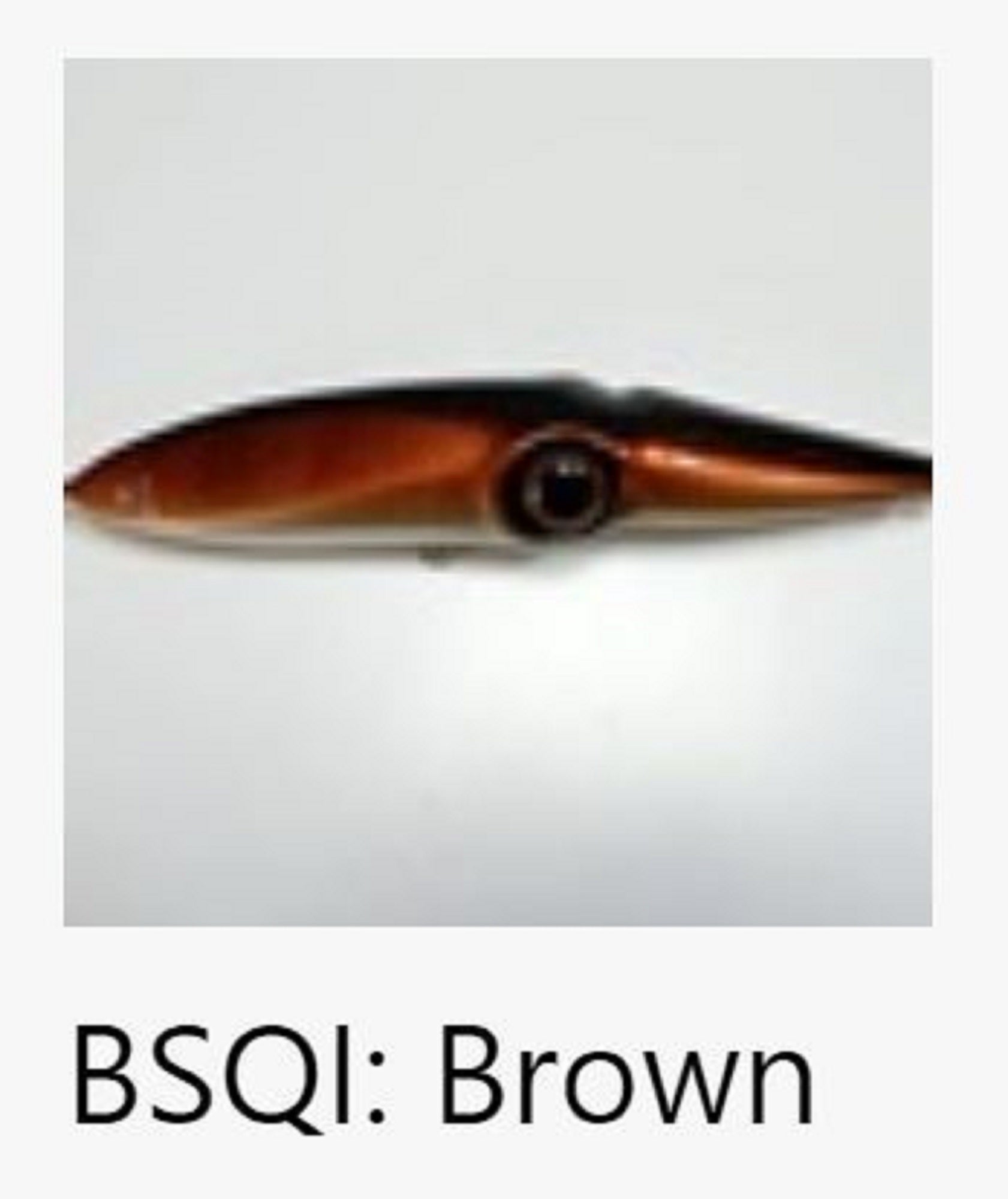 FCL Labo SEP-P180 Floating Lure 185mm 115 grams BSQI (4922)