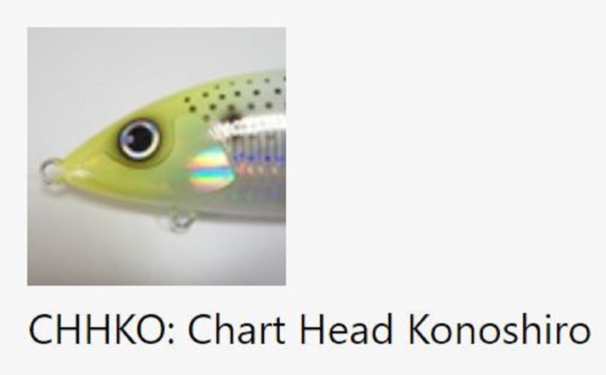FCL Labo KO-P145 Floating Lure 145mm 62 grams CHHKO (5196)