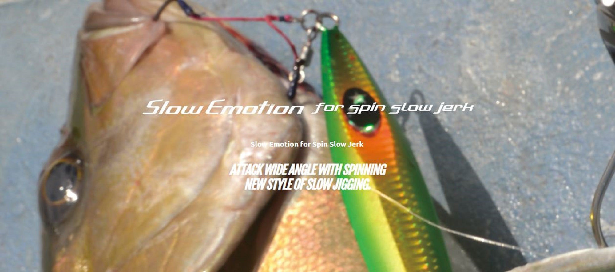 Xesta Rod Spinning Slow Emotion Slow Jerk S653 (8205)