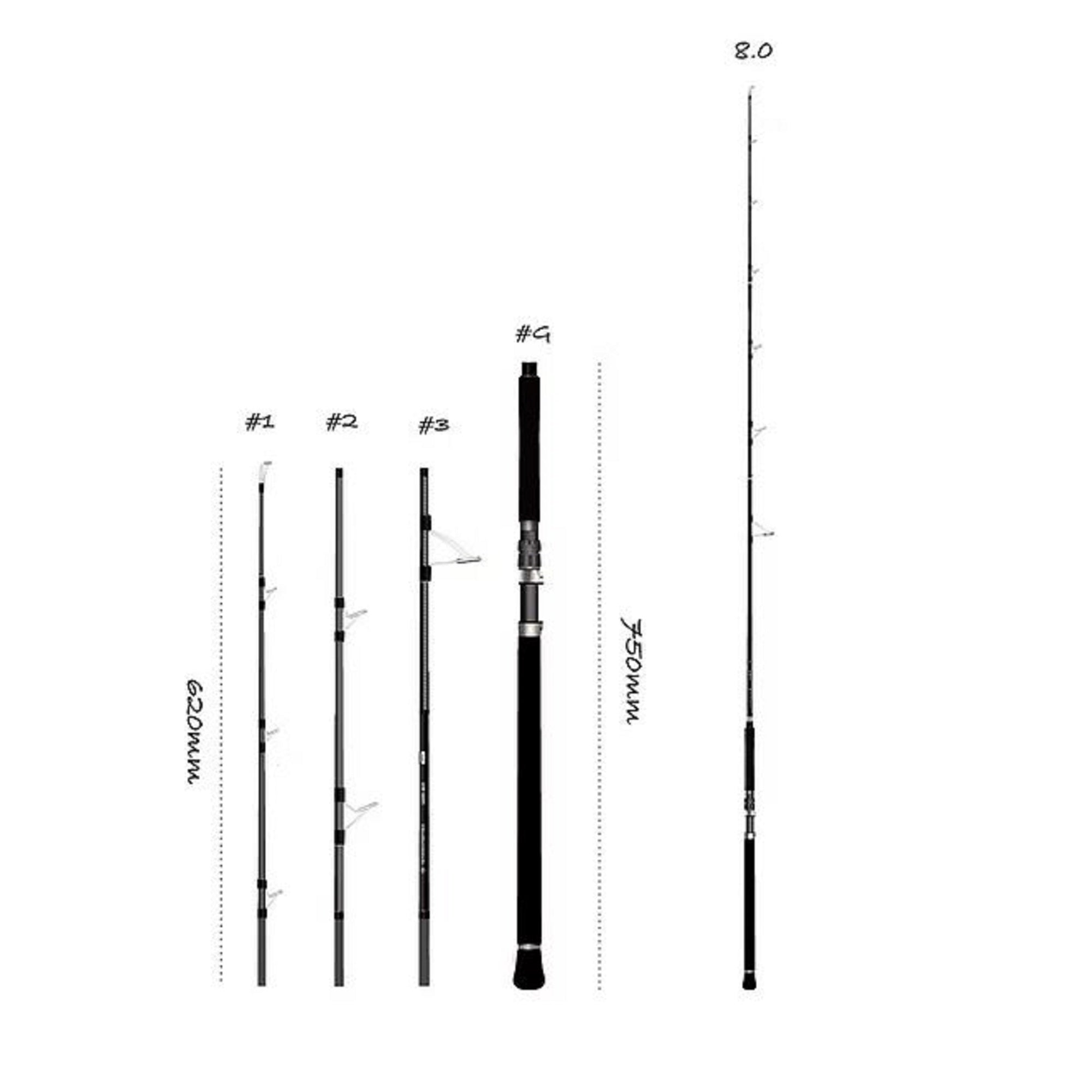 Transcendence Rod Spinning Ghibli 80S 2025 (1379)