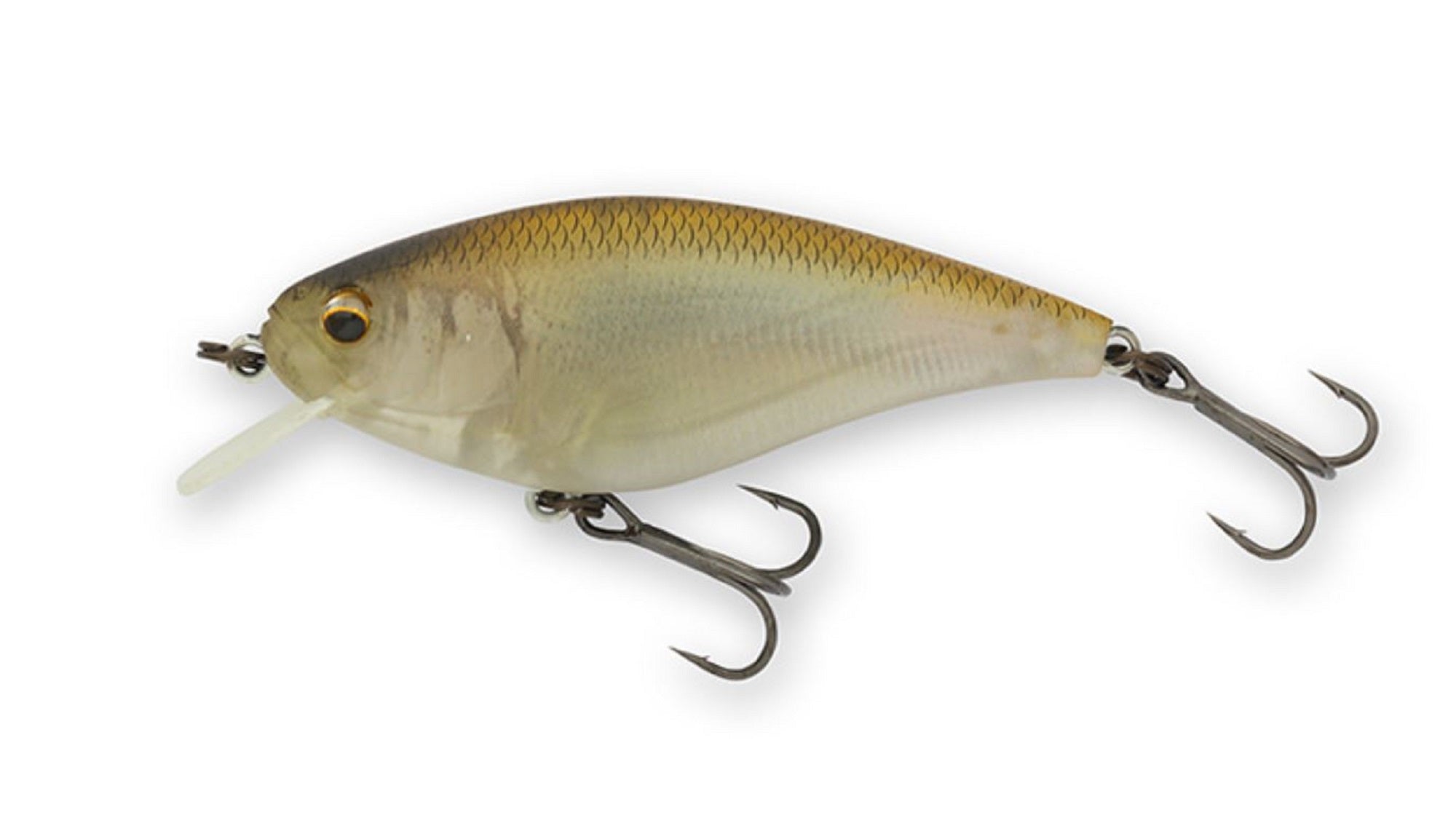 Imakatsu Gekiasa Shad 3D Realism 58 mm 7 grams Floating Lure 869 (5482)