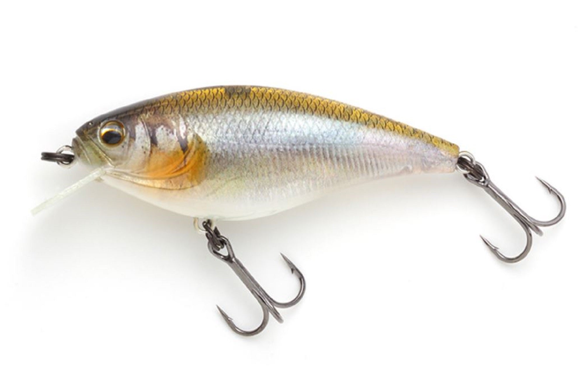 Imakatsu Gekiasa Shad 3D Realism 58 mm 7 grams Floating Lure 718 (5543)