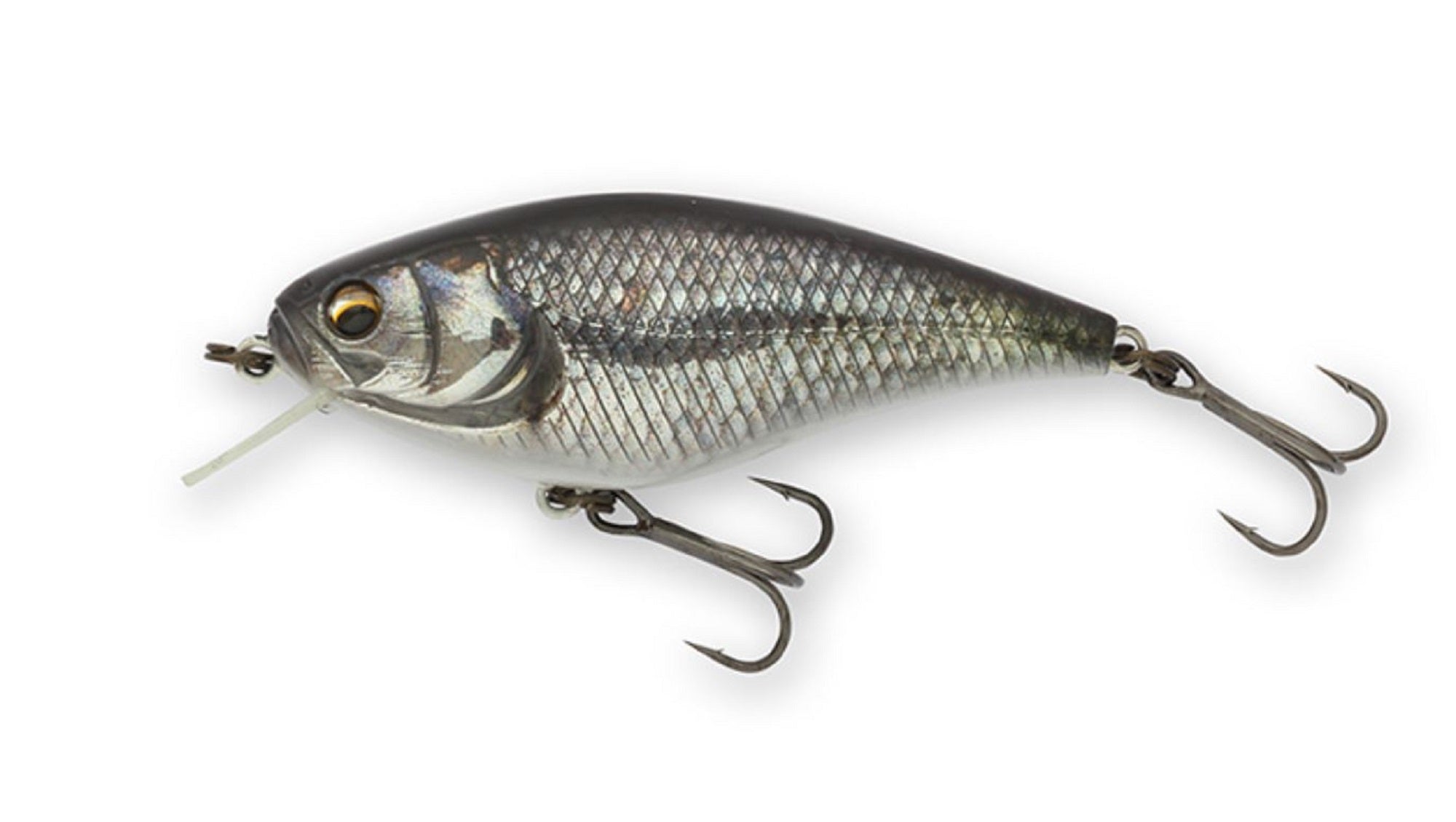 Imakatsu Gekiasa Shad 3D Realism 58 mm 7 grams Floating Lure 889 (5635)