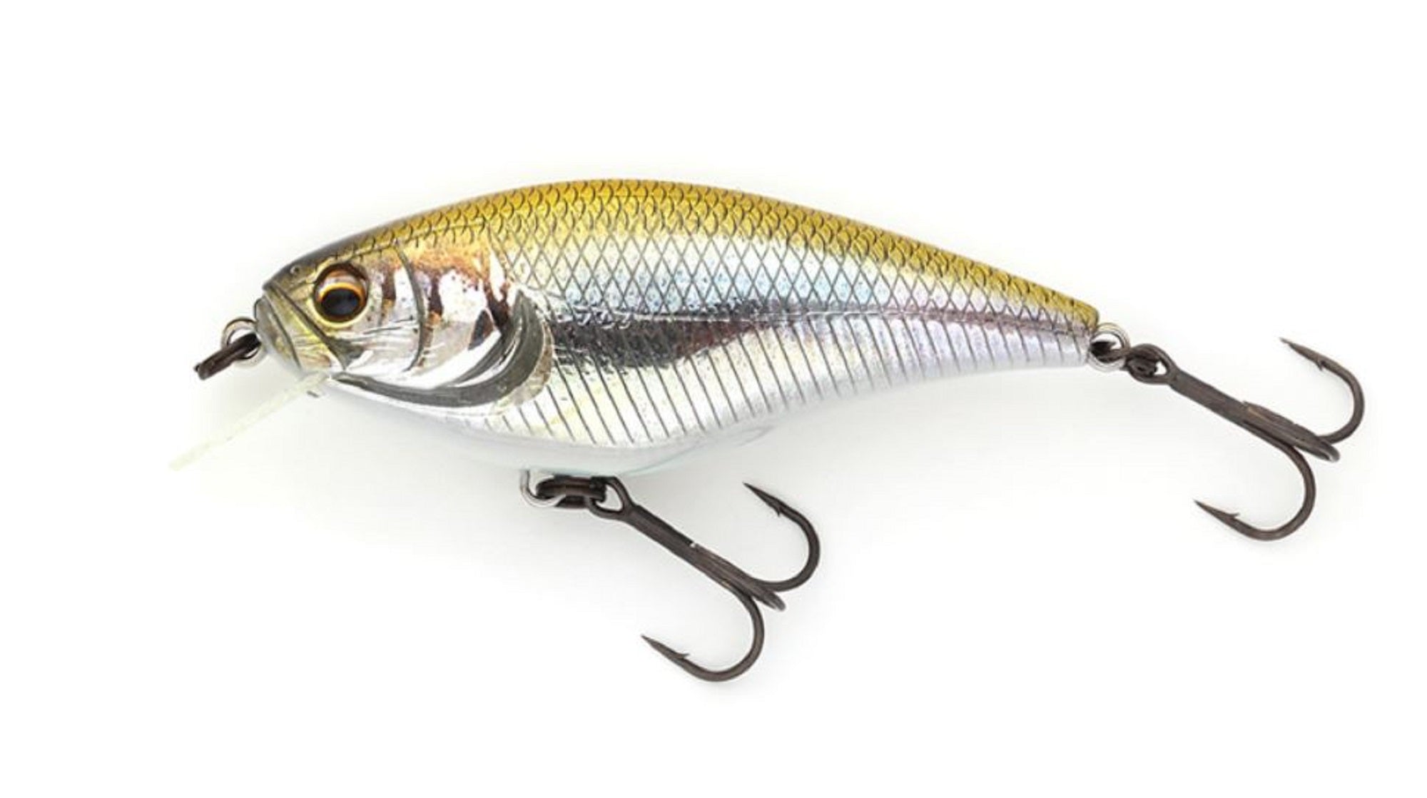 Imakatsu Gekiasa Shad 3D Realism 58 mm 7 grams Floating Lure 885 (5659)
