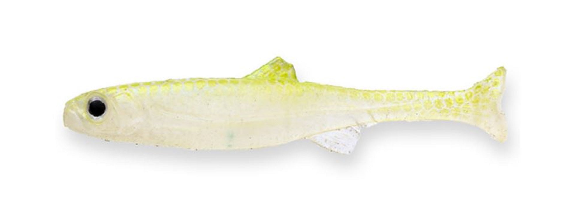 Imakatsu Soft Lure Huddle Swimmer 2.4 Inch RC ECO S-20 (7101)
