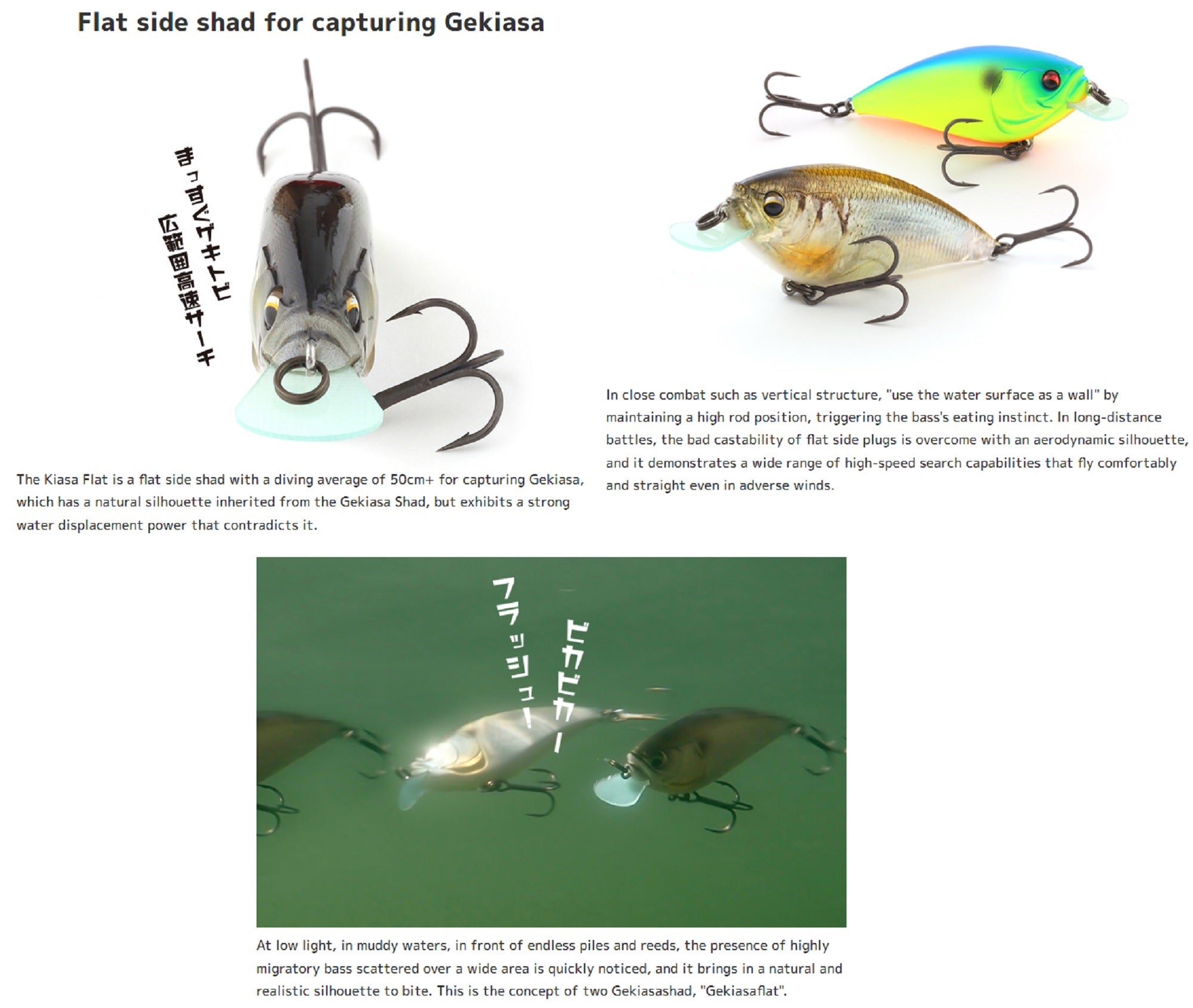 Imakatsu Gekiasa Flat 3DR 65 mm 11 grams Floating Lure 642 (1760)