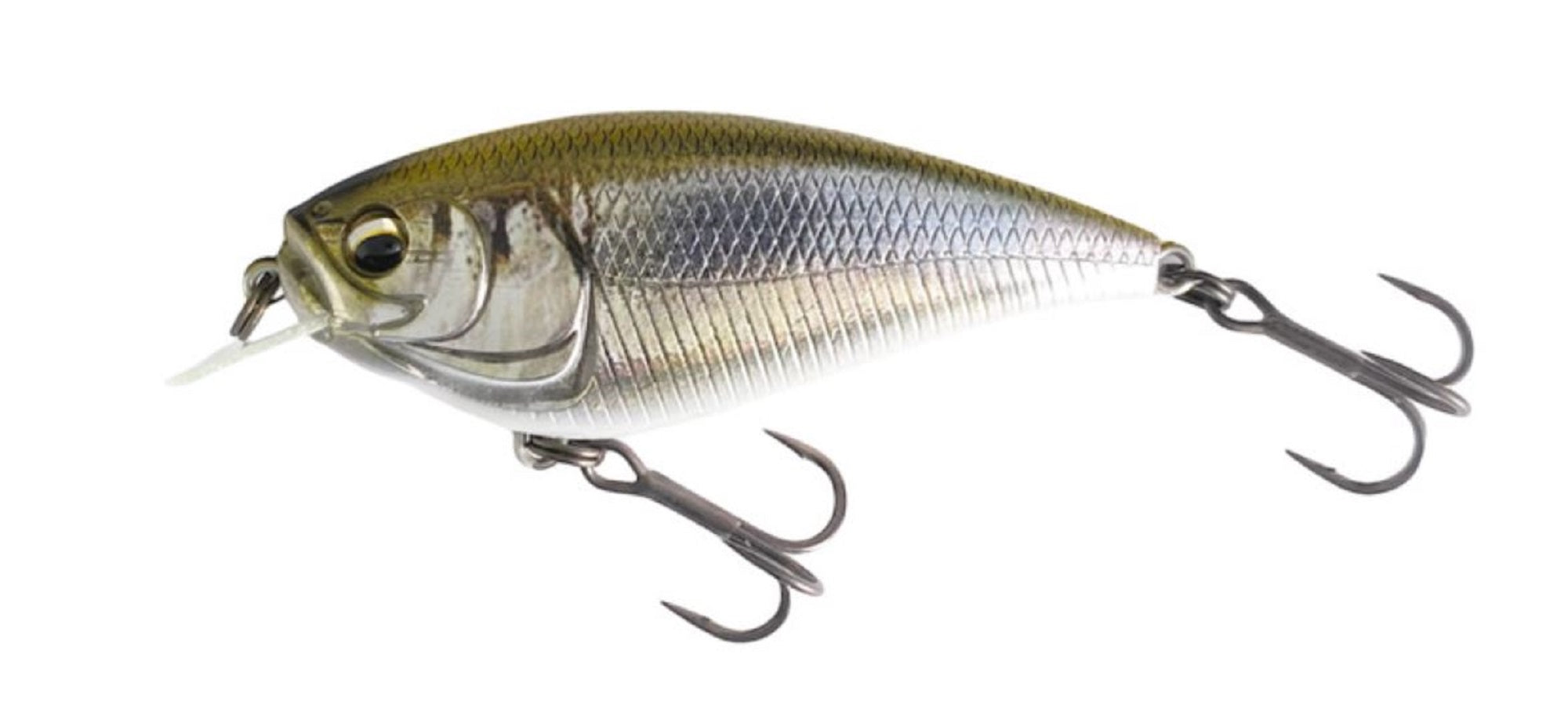 Imakatsu Gekiasa Flat 3DR 65 mm 11 grams Floating Lure 885 (1807)