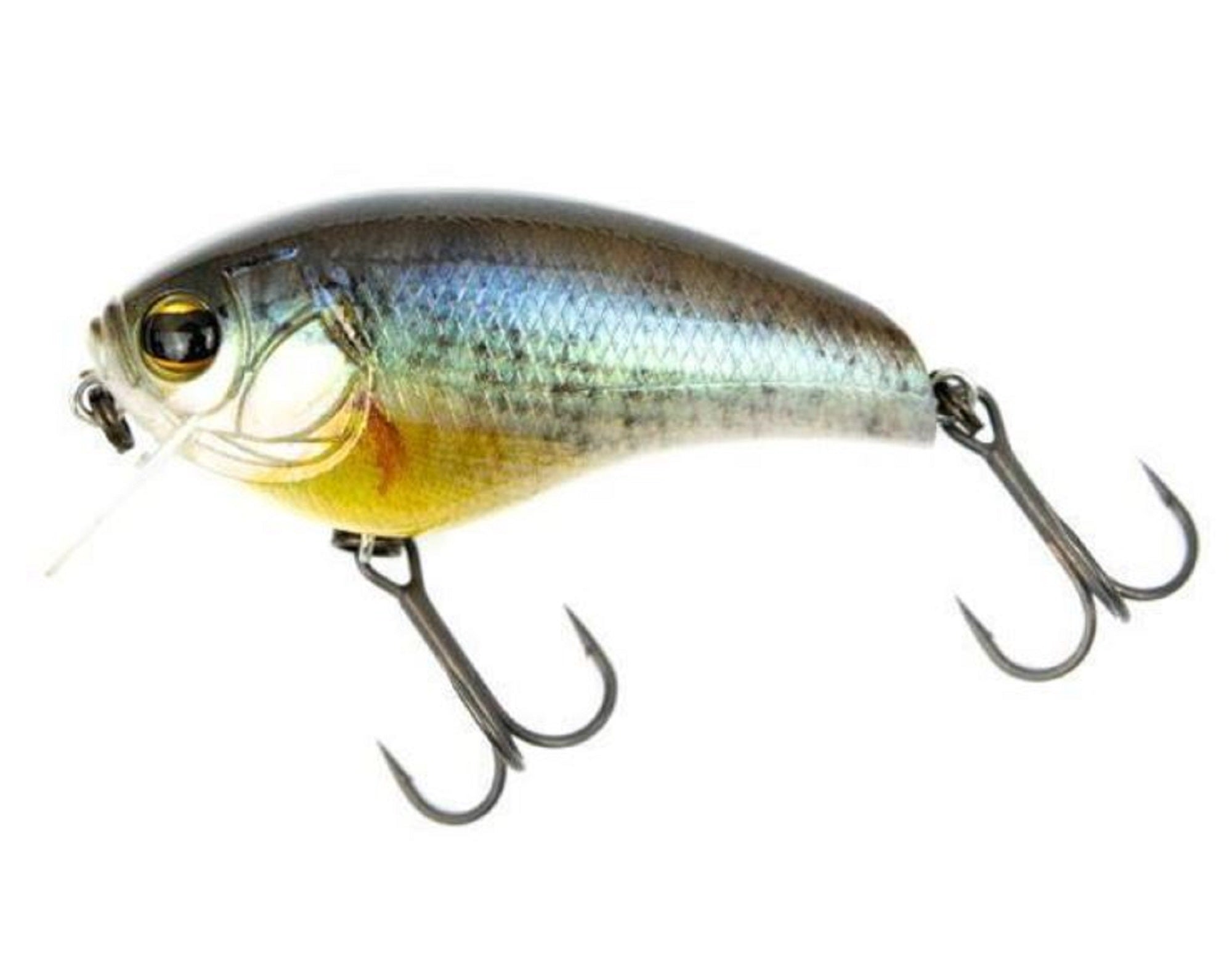 Imakatsu IK 50C 3DR 55 mm 10 grams Floating Lure 749 (3603)