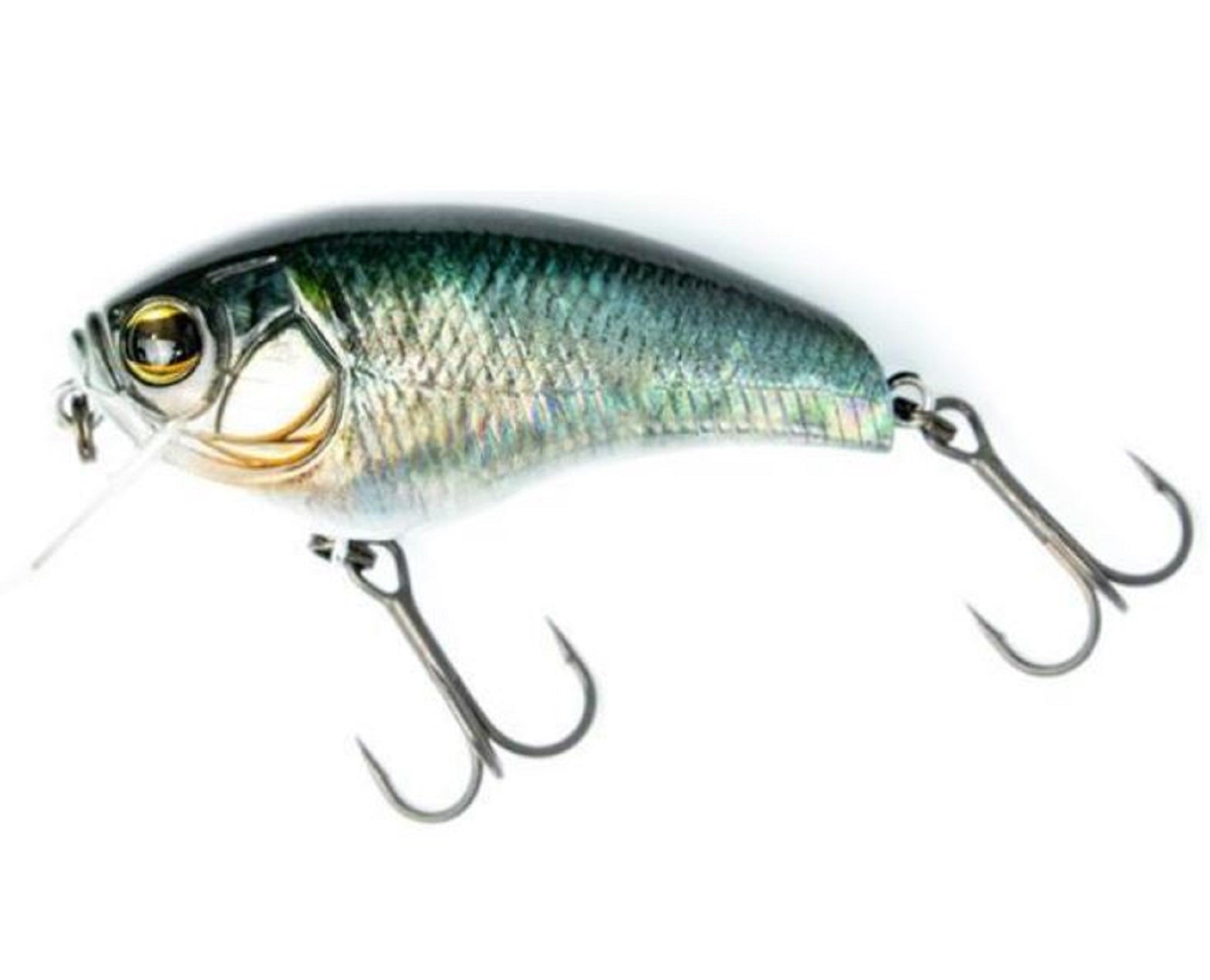 Imakatsu IK 50C 3DR 55 mm 10 grams Floating Lure 776 (3610)