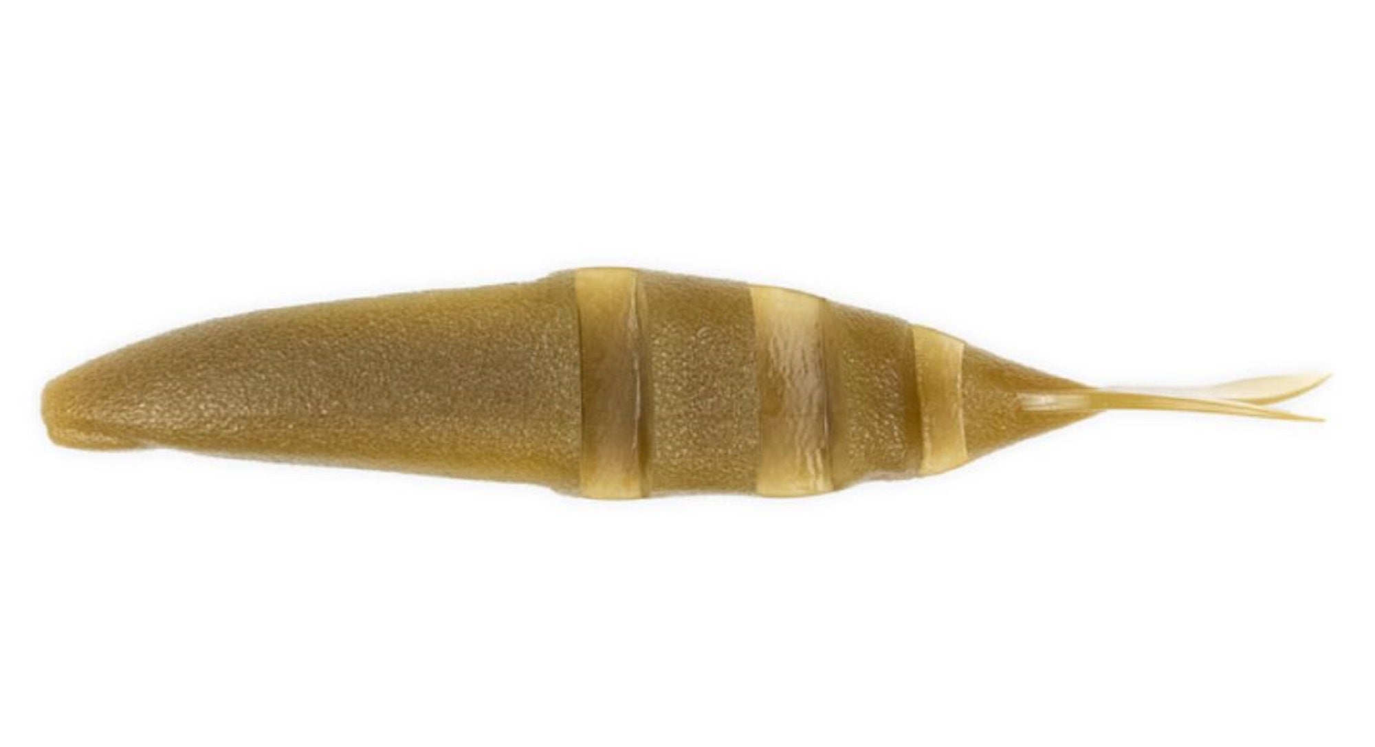 Imakatsu Soft Lure Javallon 110mm 5/pack S-02 (0182)