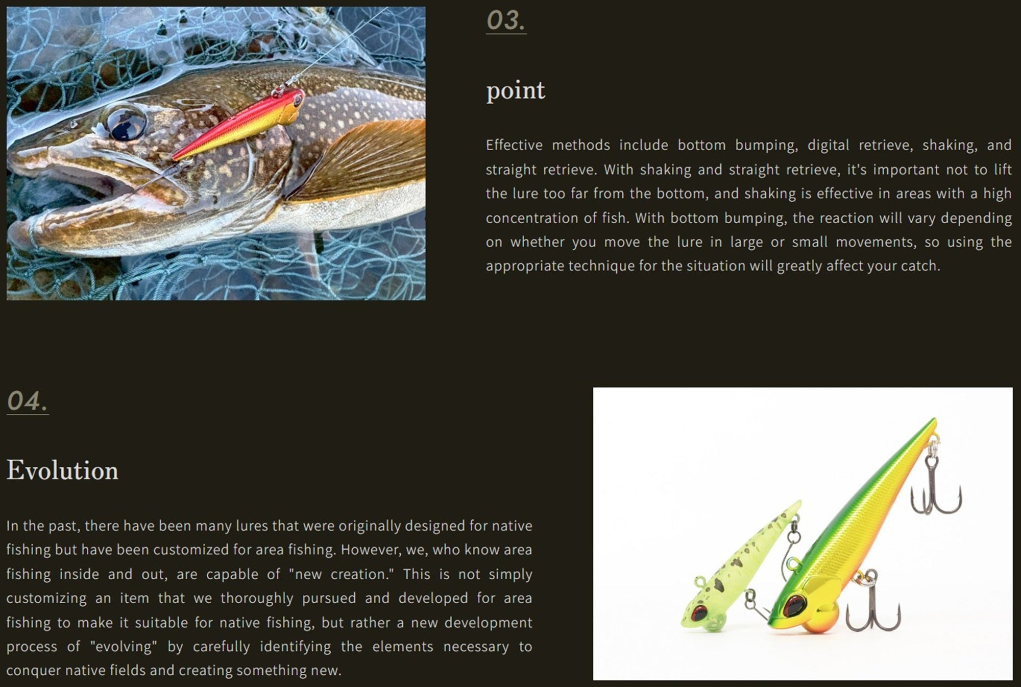 Valkein Shine Ride 70mm 14 grams Sinking Lure M171 (3601)