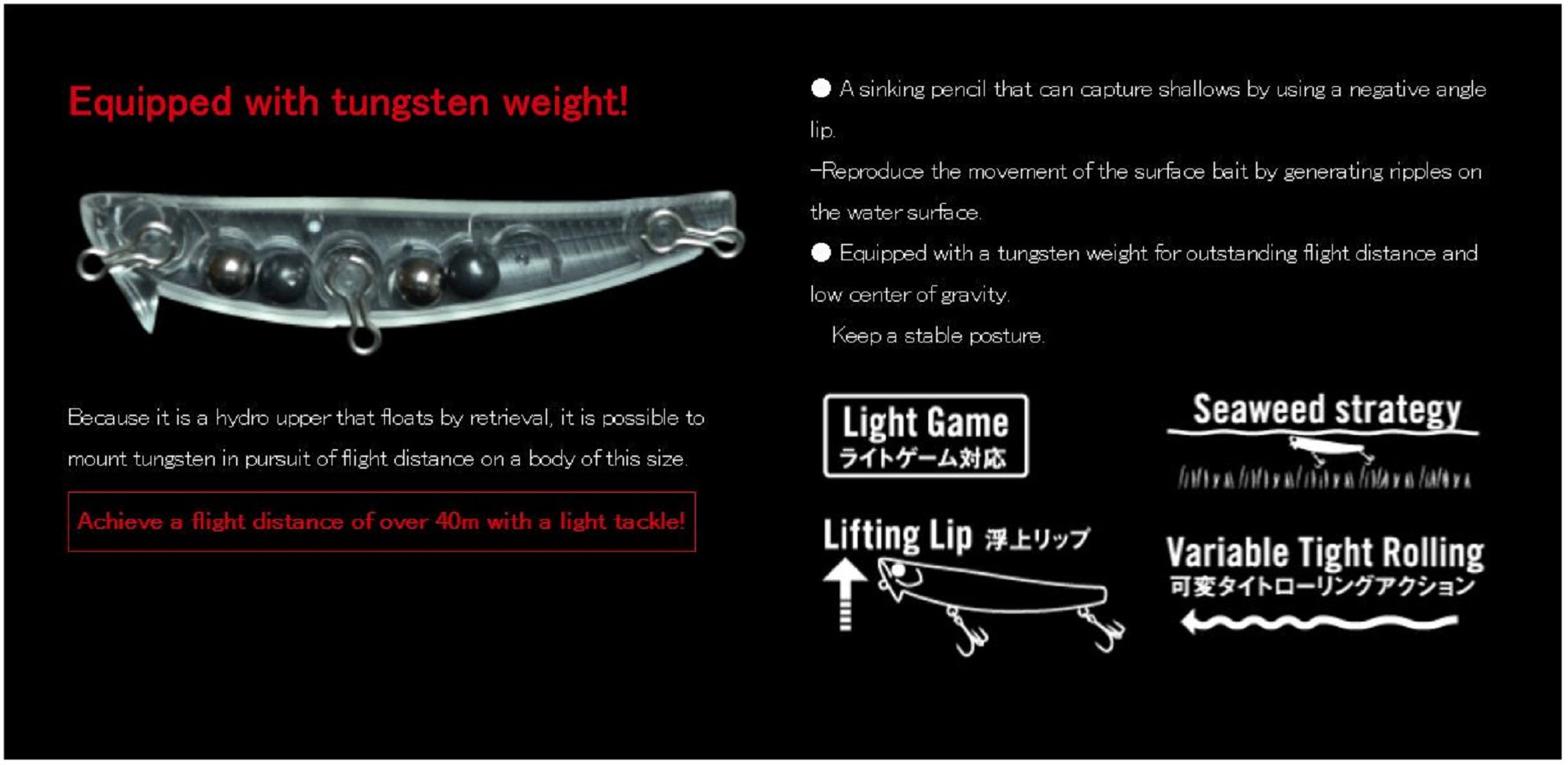 Apia Hydroupper 55S Sinking Lure 10 (6418)