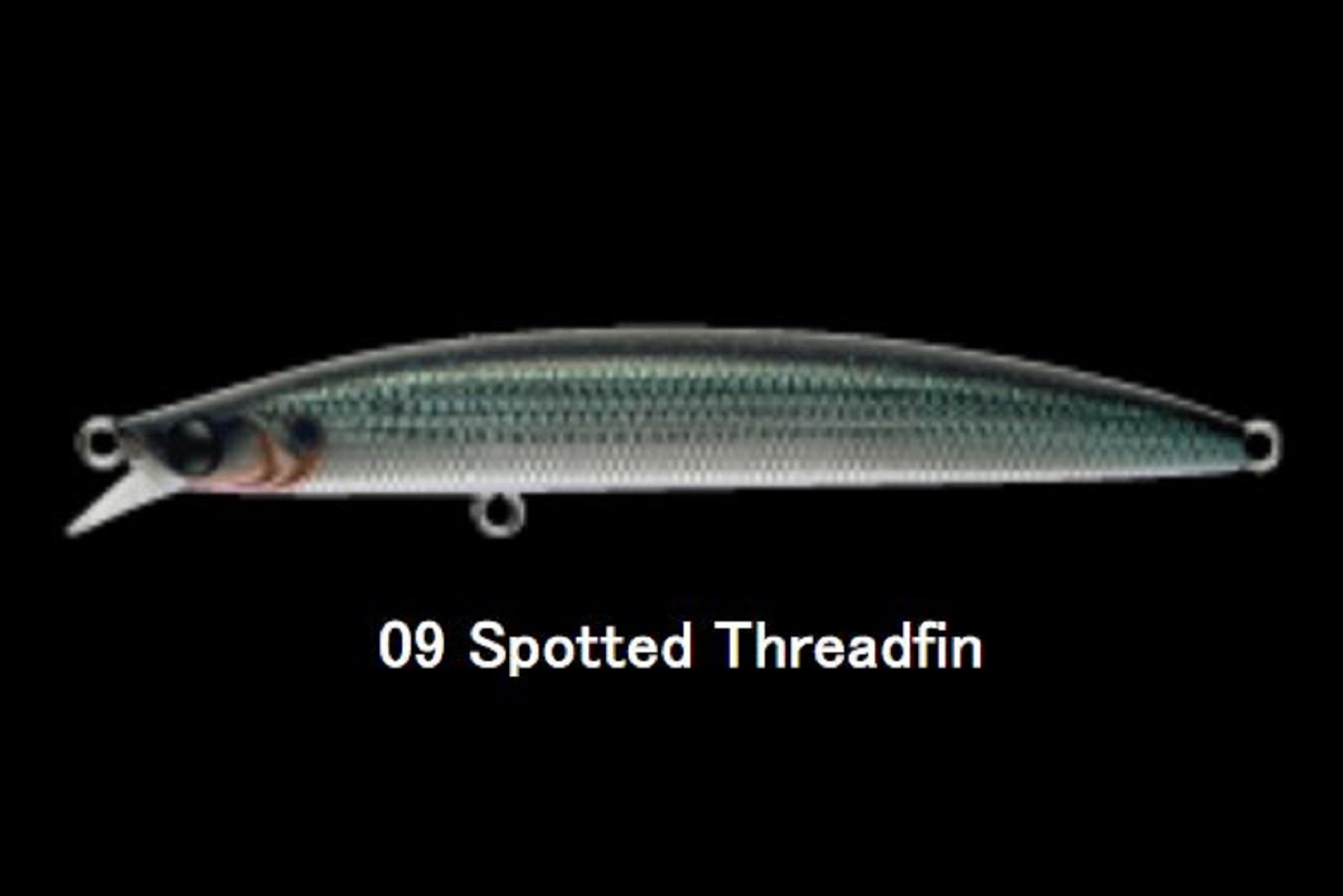 Apia Dover 120 F Riva Floating Lure 09 (7804)