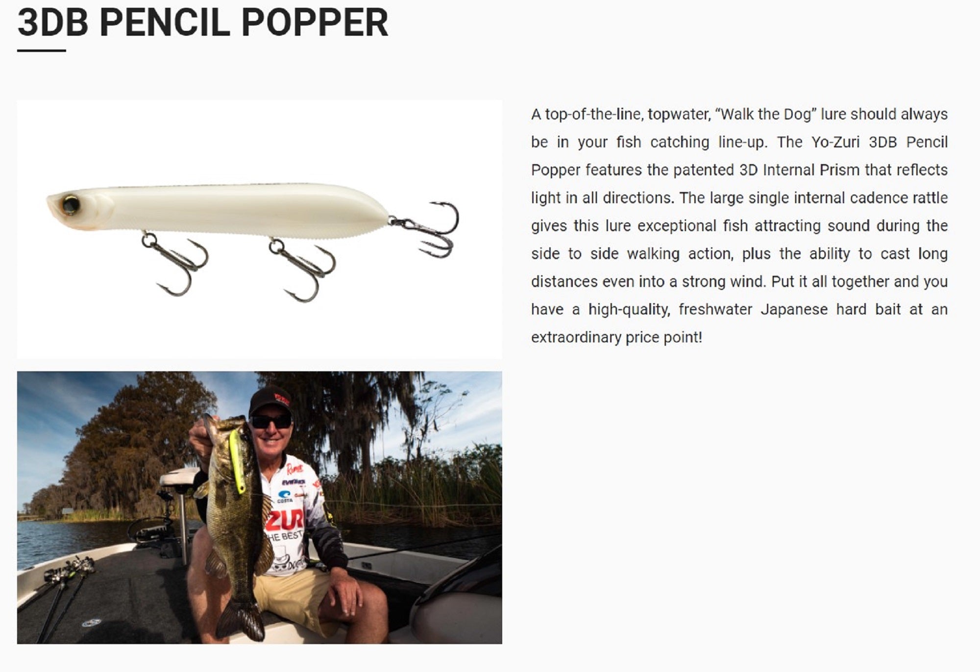Yo Zuri Duel 3DB Pencil Popper 135 mm Floating Lure R1373-RGZS (2686)