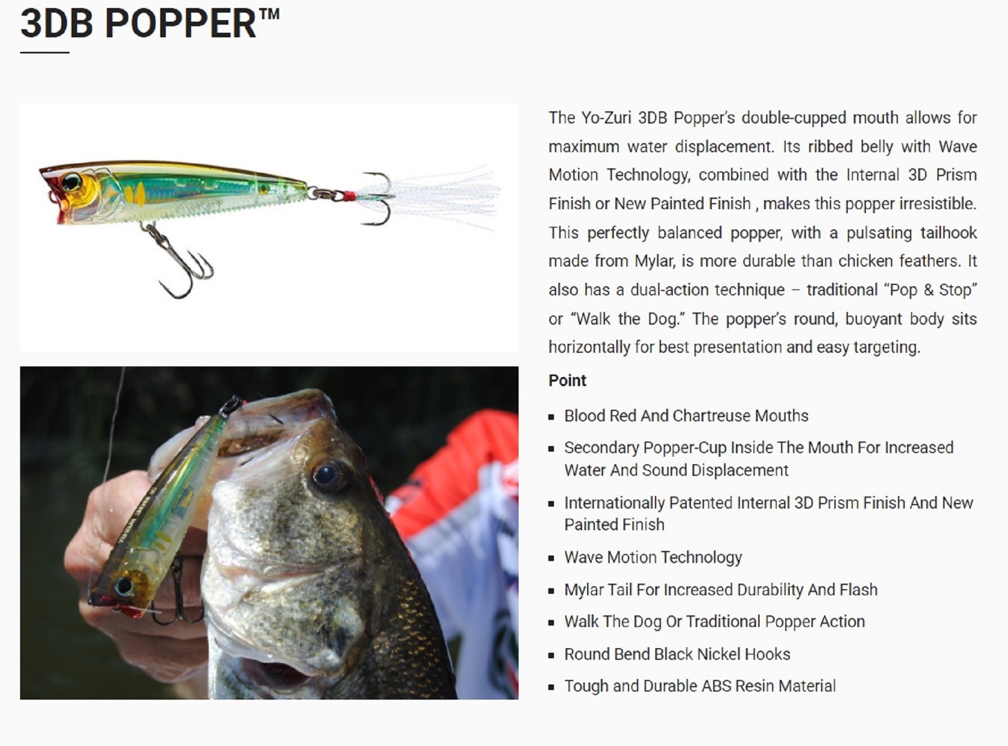 Yo Zuri Duel 3DB Popper 75 mm Floating Lure R1101-RBG (2709)