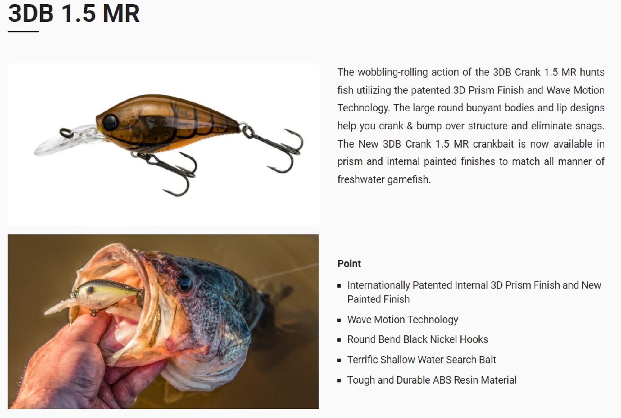 Yo Zuri Duel 3DB 1.5 MR Mid Crank 60 mm Floating Lure R1353-RBCF (2945)