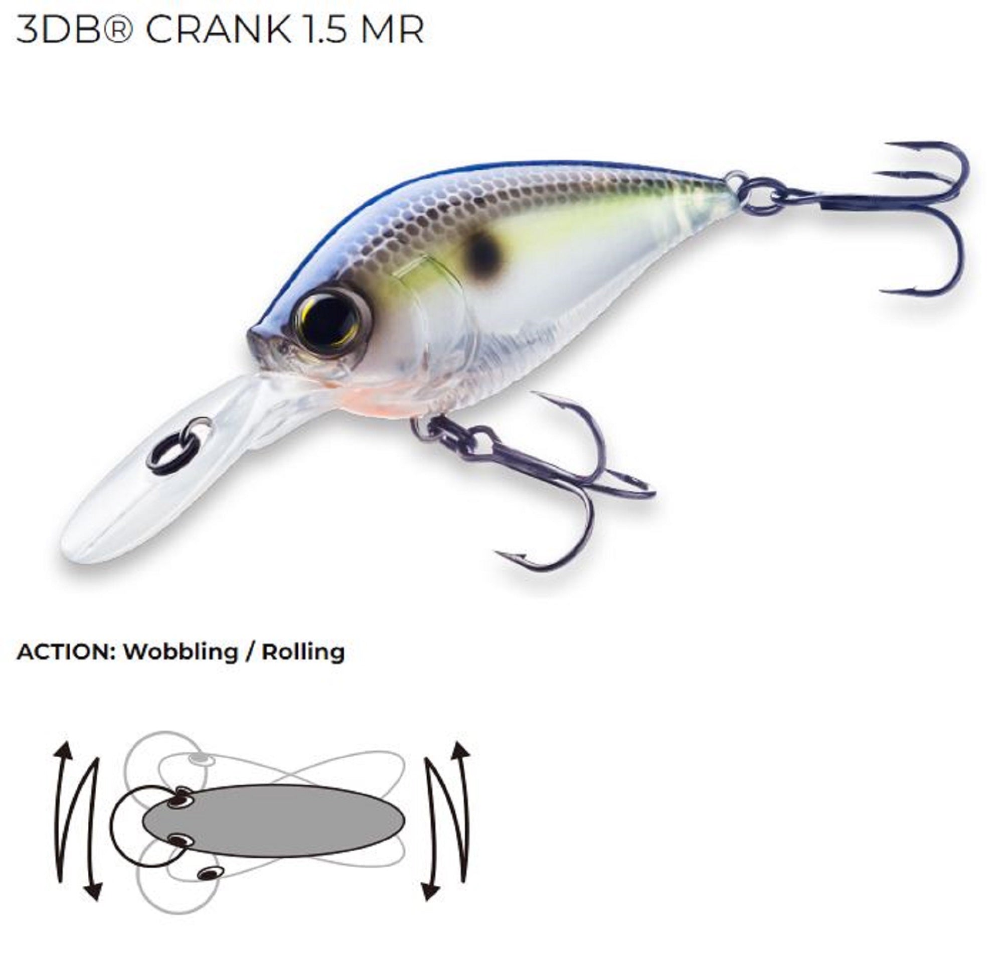 Yo Zuri Duel 3DB 1.5 MR Mid Crank 60 mm Floating Lure R1353-RBG (2952)